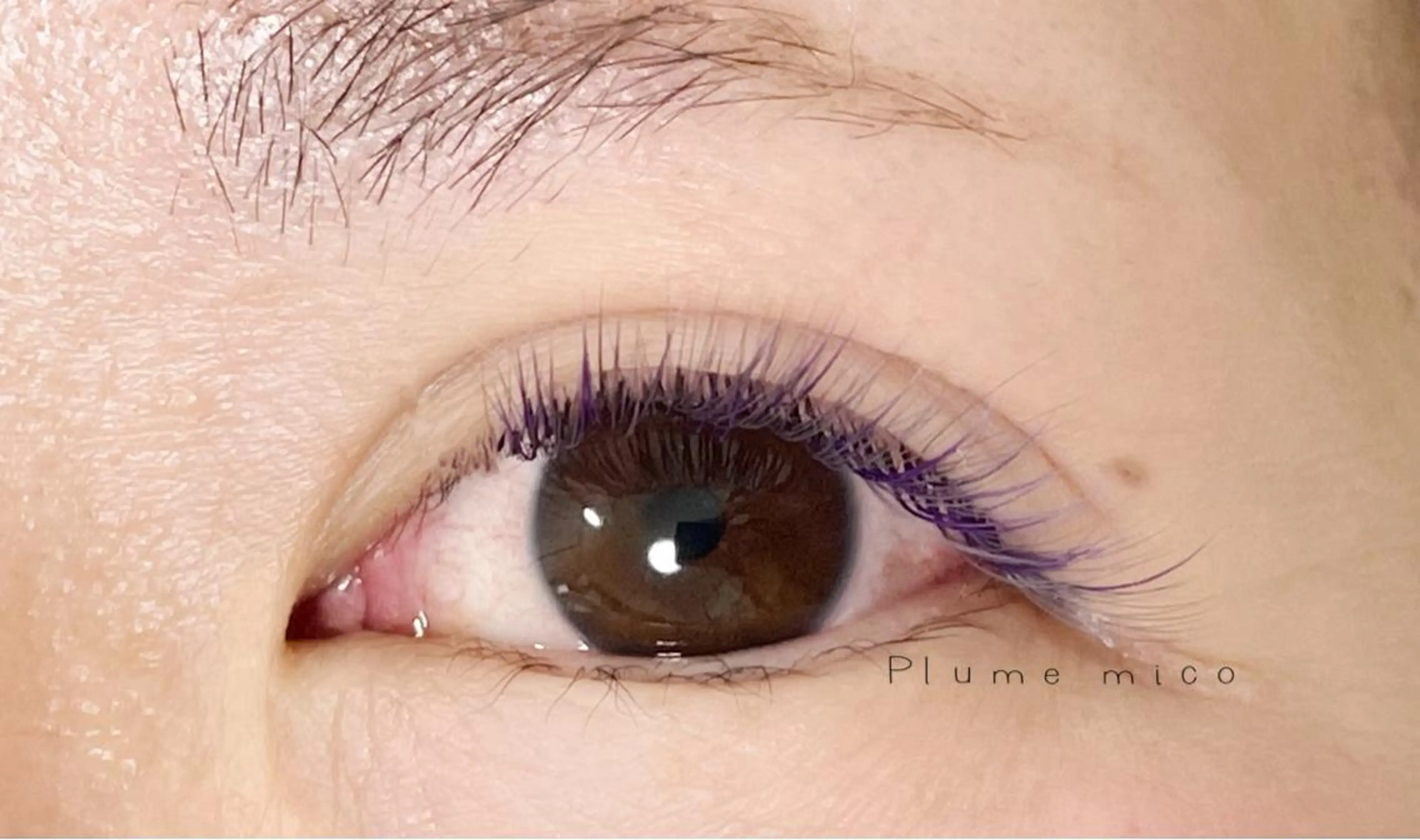 マツエク・マツパ マツエク Plume micoのマツエク・マツパデザイン