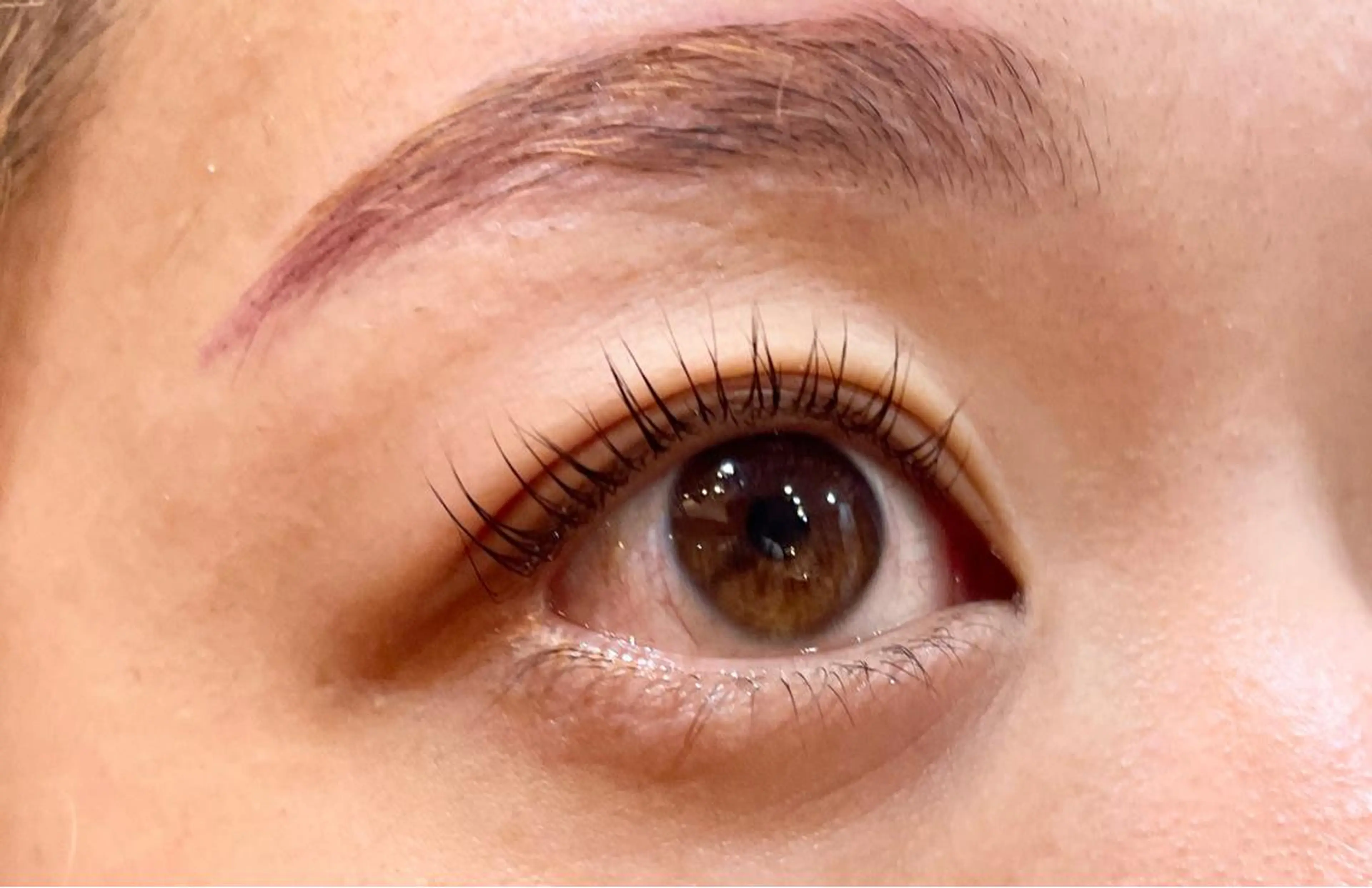 マツエク・マツパ sHioN髪質改善 美髪矯正／ヘア着付けのヘアスタイル