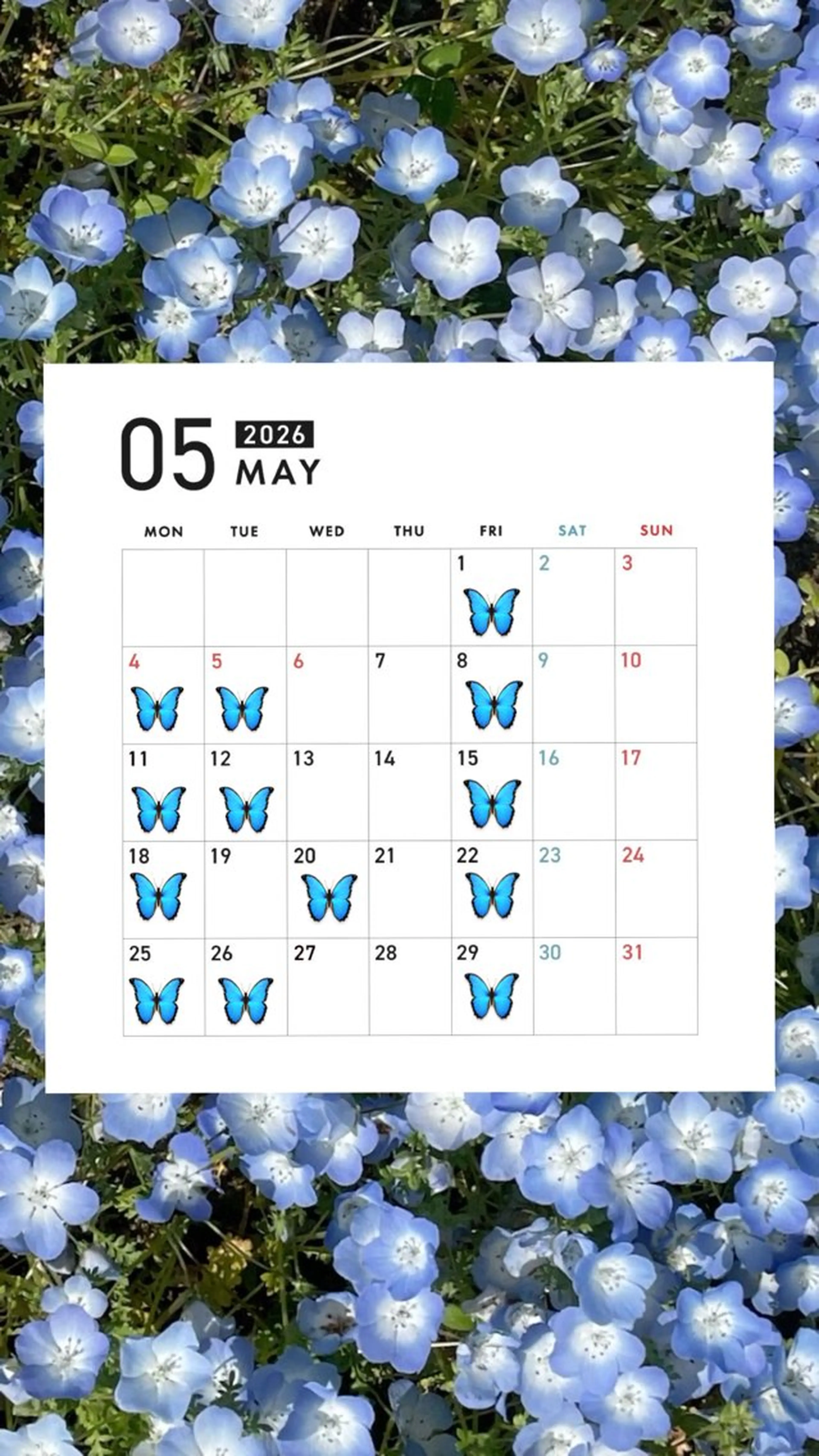 ROCCOeast AKARIのヘアスタイル