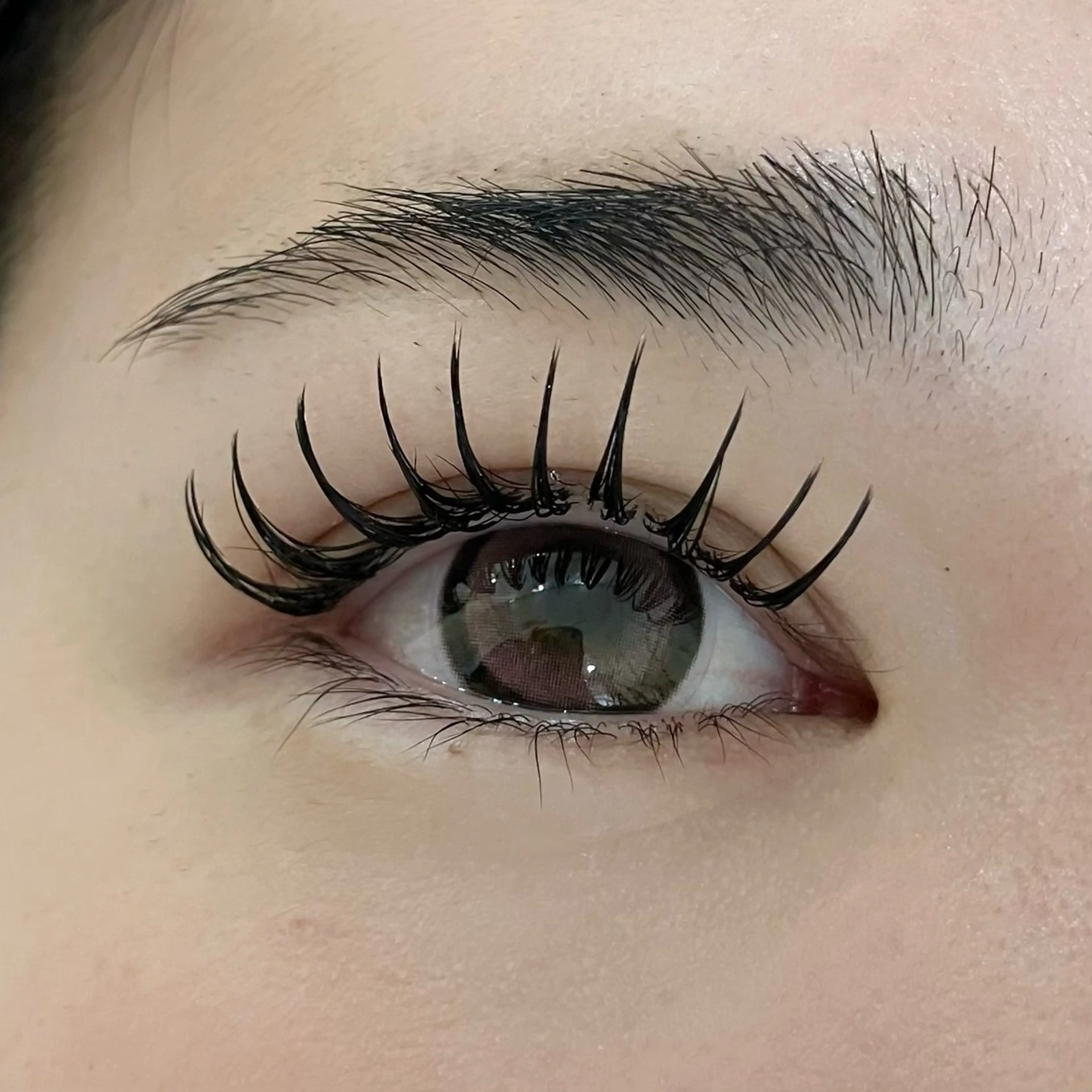 マツエク・マツパ マツエク bunny eyes 有本のマツエク・マツパデザイン