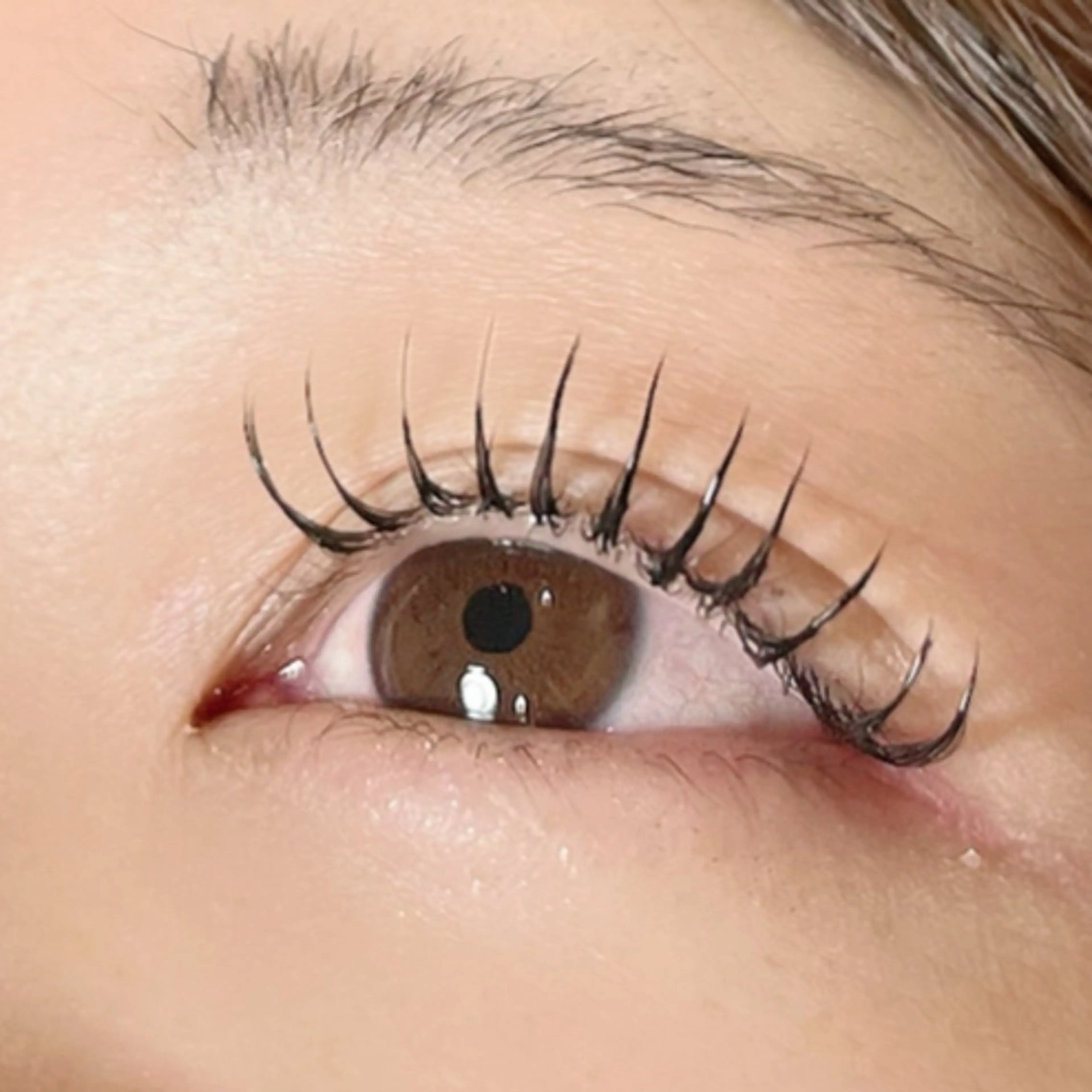 🔰研修🔰🦋【フラットラッシュ】🦋120本⚠️必ず注意事項をご確認くださいの写真