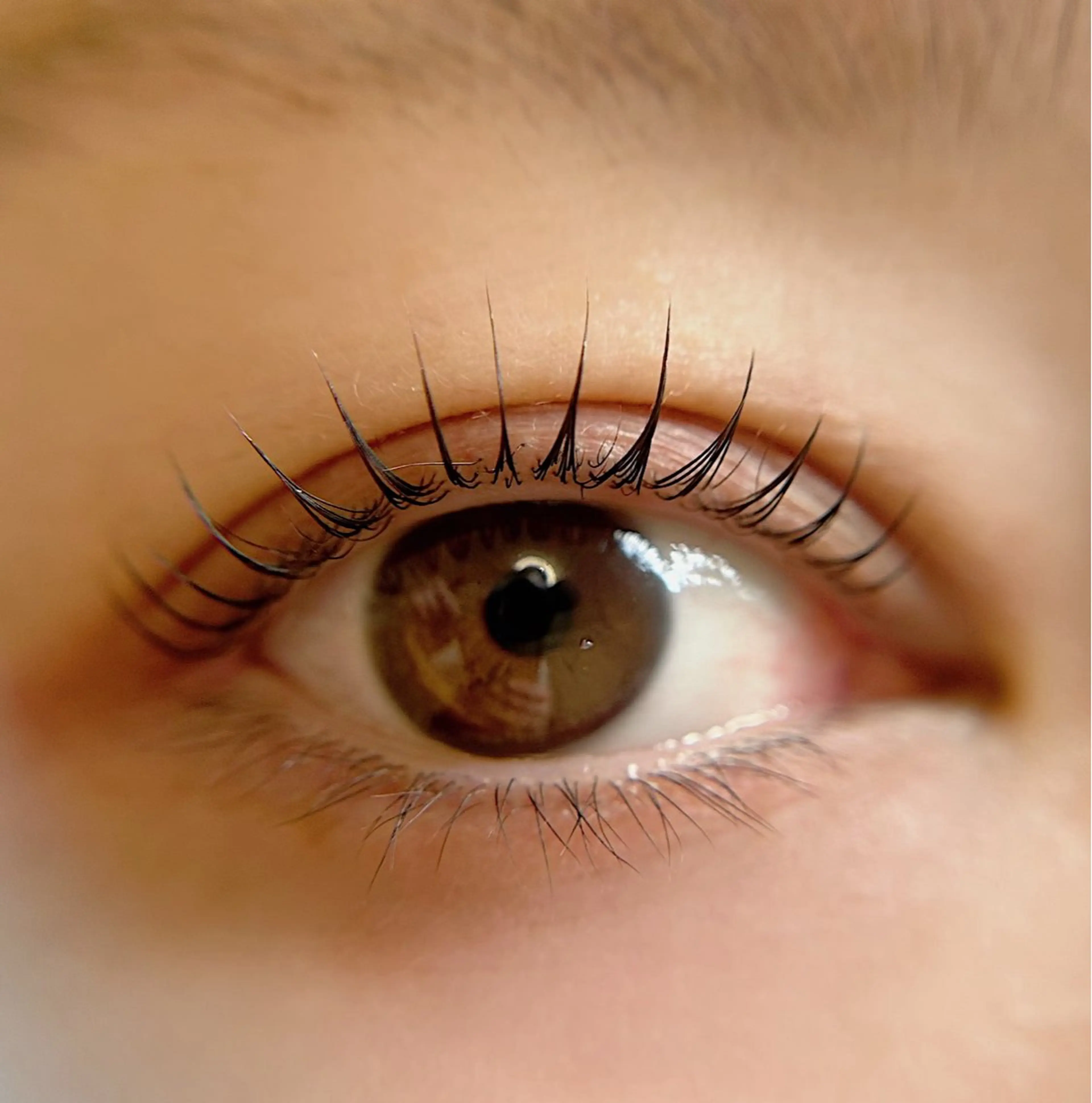 マツエク・マツパ マツパ Citrine eyelash ✿のマツエク・マツパデザイン