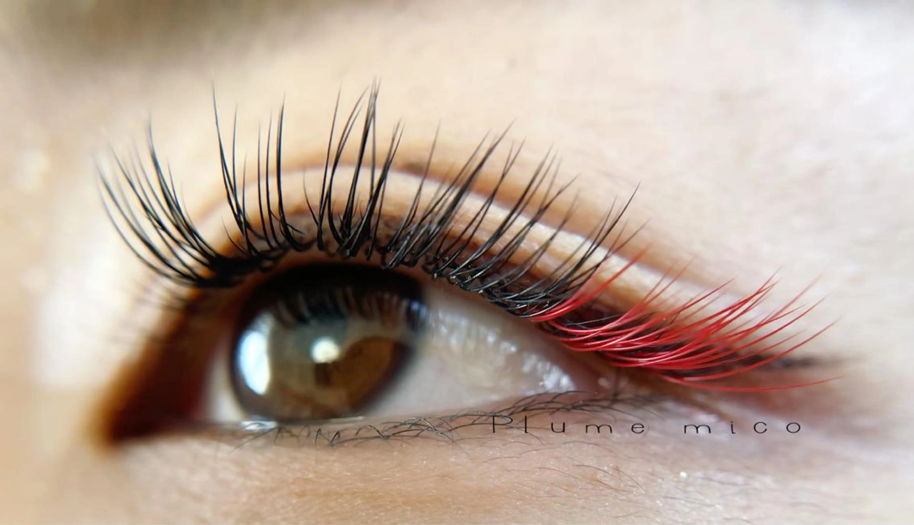 マツエク・マツパ マツエク Plume micoのマツエク・マツパデザイン