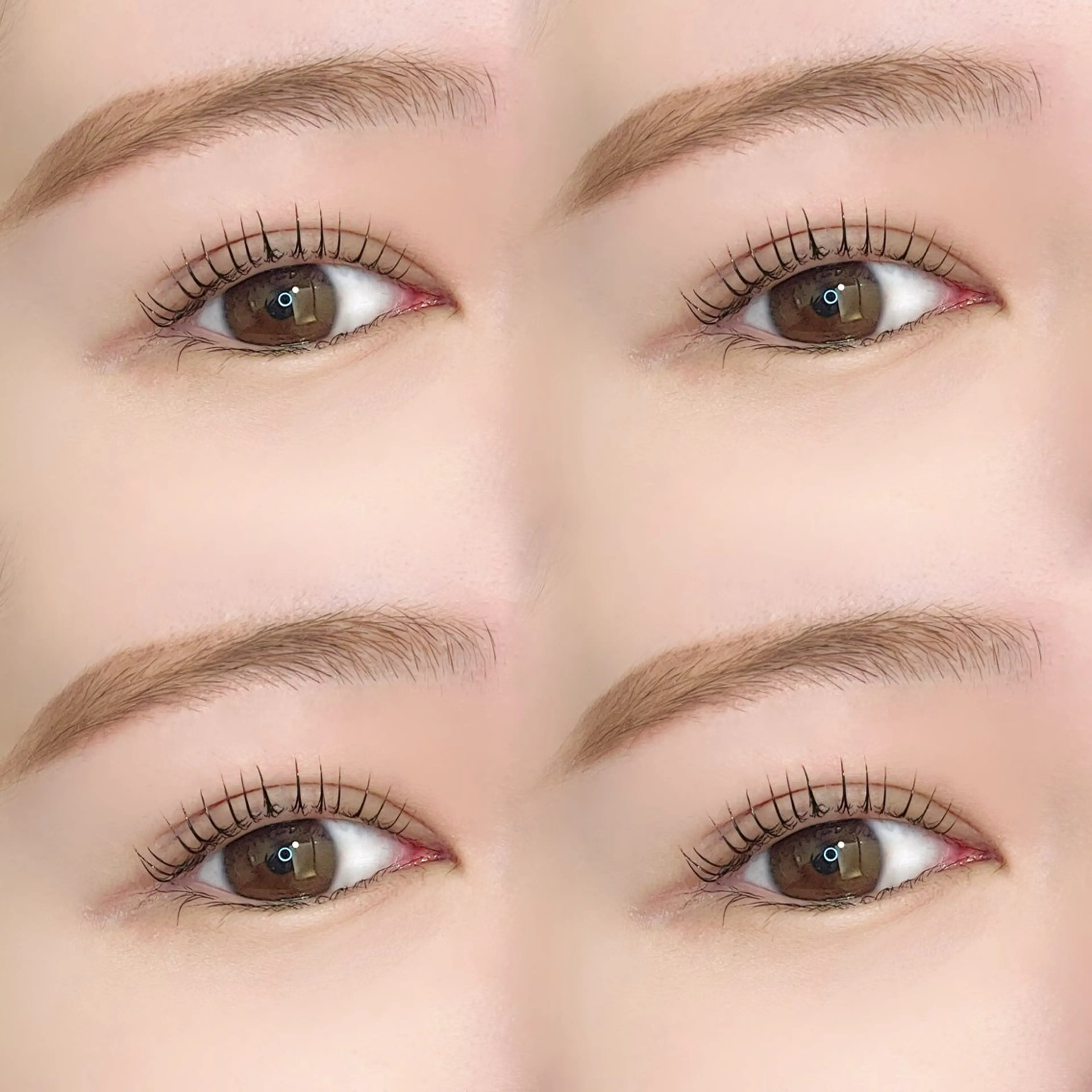 マツエク・マツパ マツパ NIKA 黒川店 久世の眉毛・アイブロウイメージ