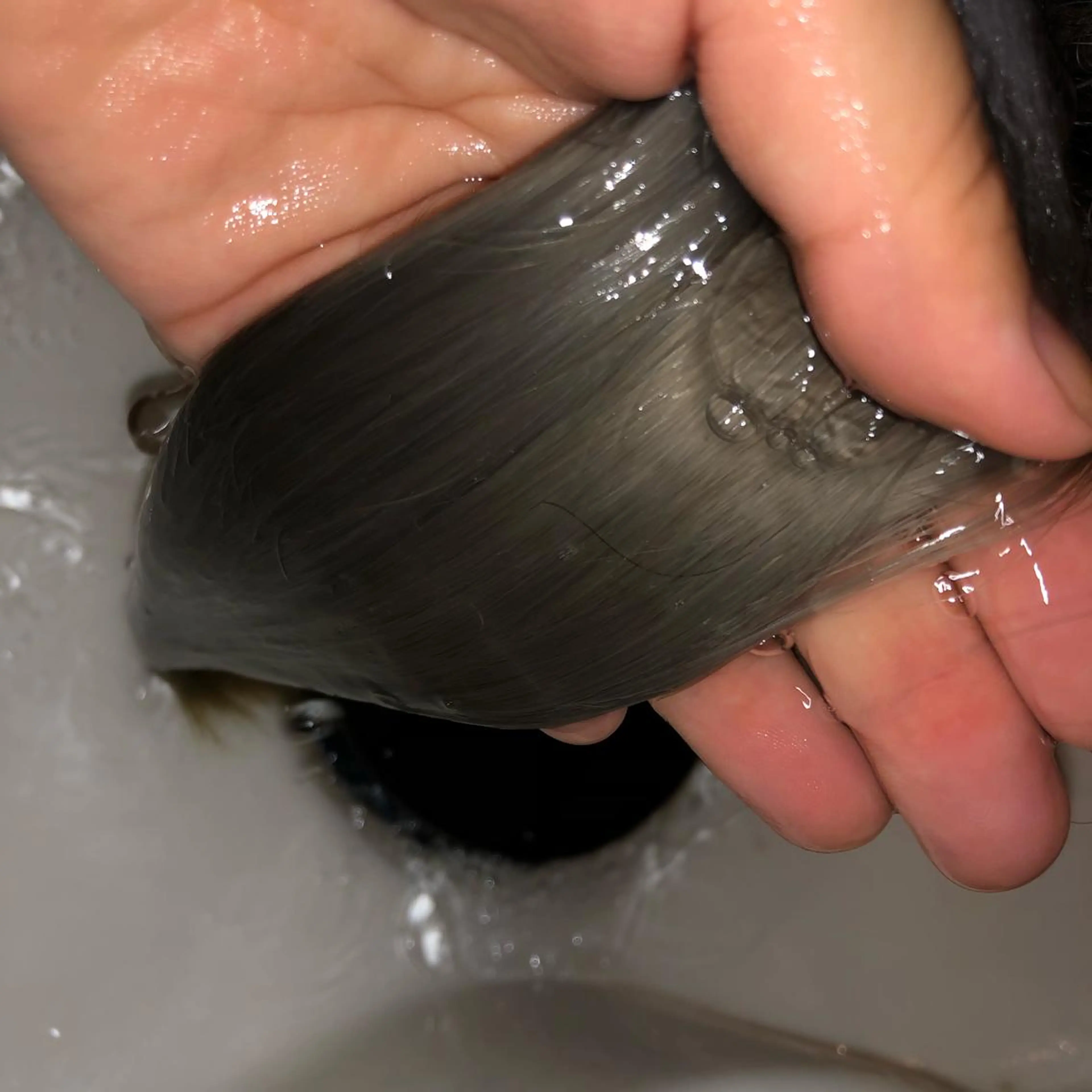 カラー サソウ ユリエ🥥のヘアスタイル