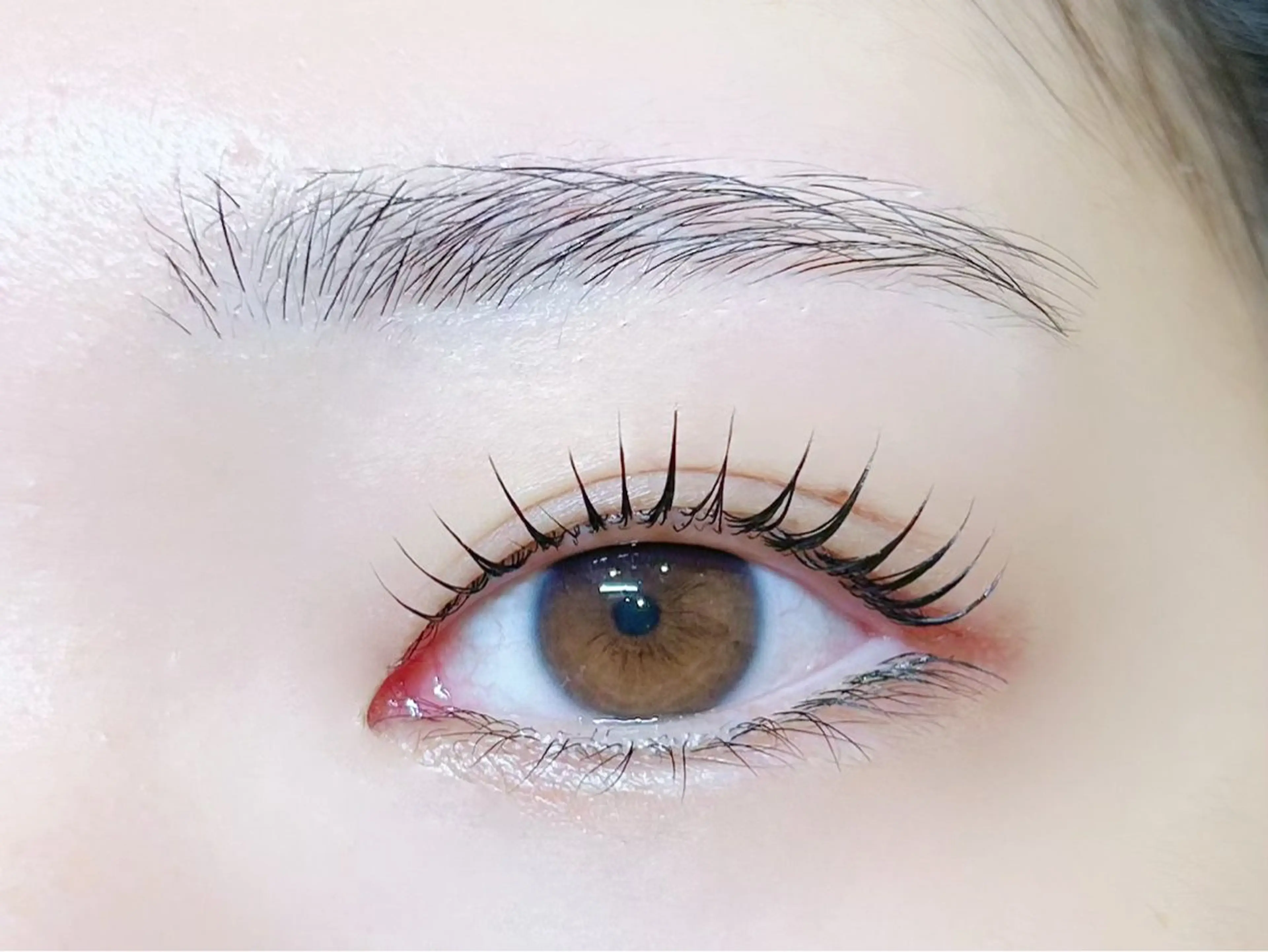 【2.3回目セット割25％オフ】パリジェンヌorまつ毛カール＆アイブロウワックス+トリートメント🎁の写真