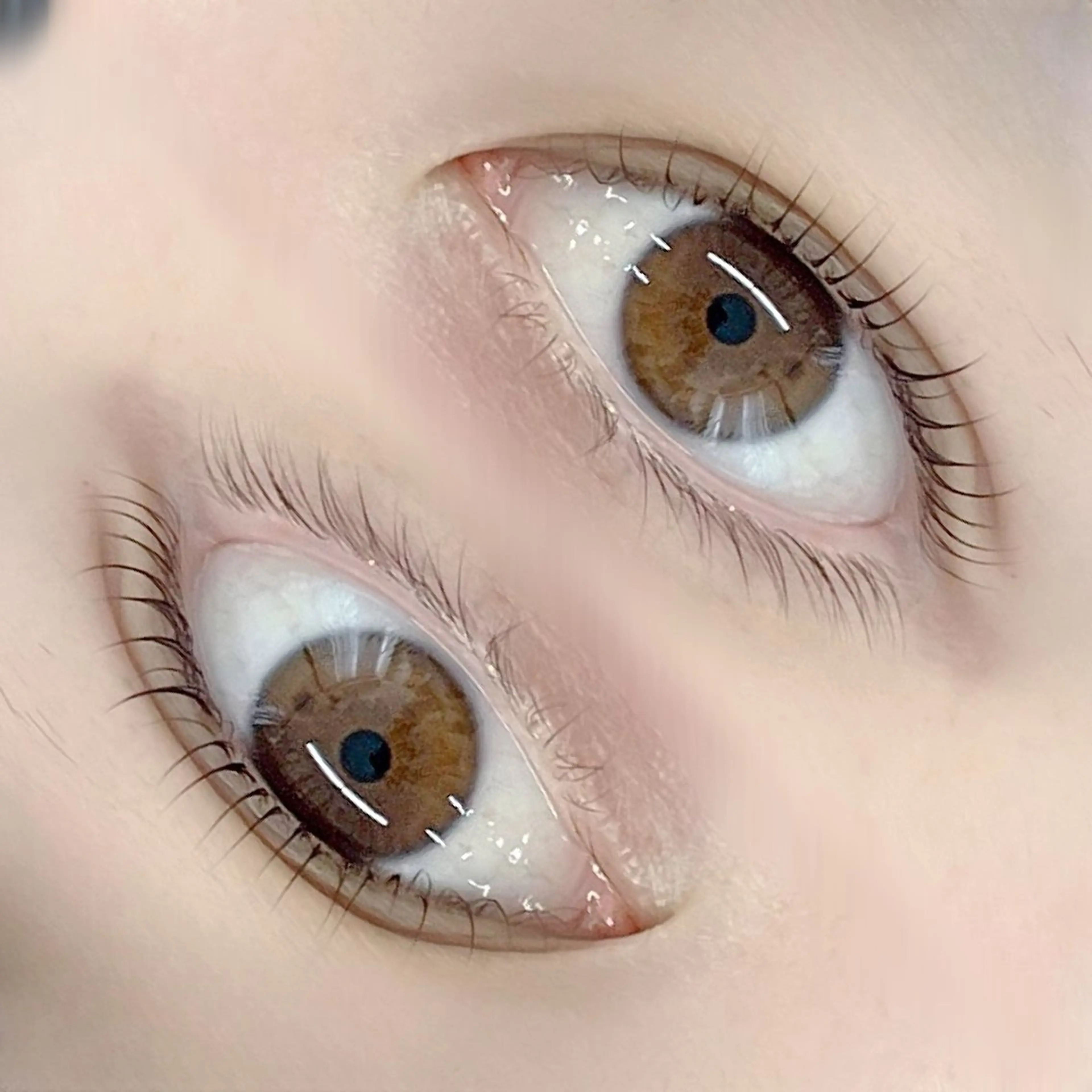 マツエク・マツパ フジ ワラの眉毛・アイブロウイメージ