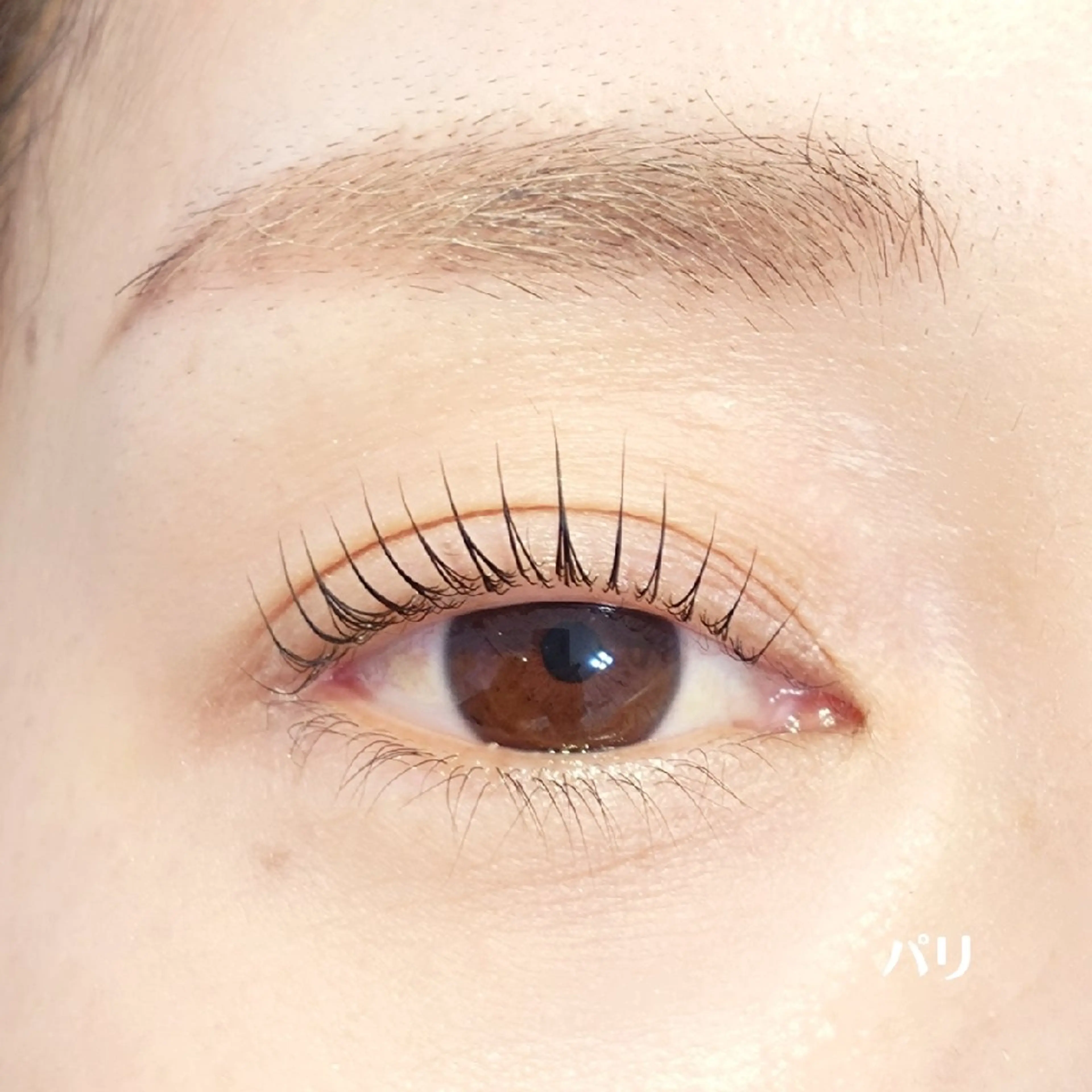 マツエク・マツパ Vie  Ange erikaの眉毛・アイブロウイメージ