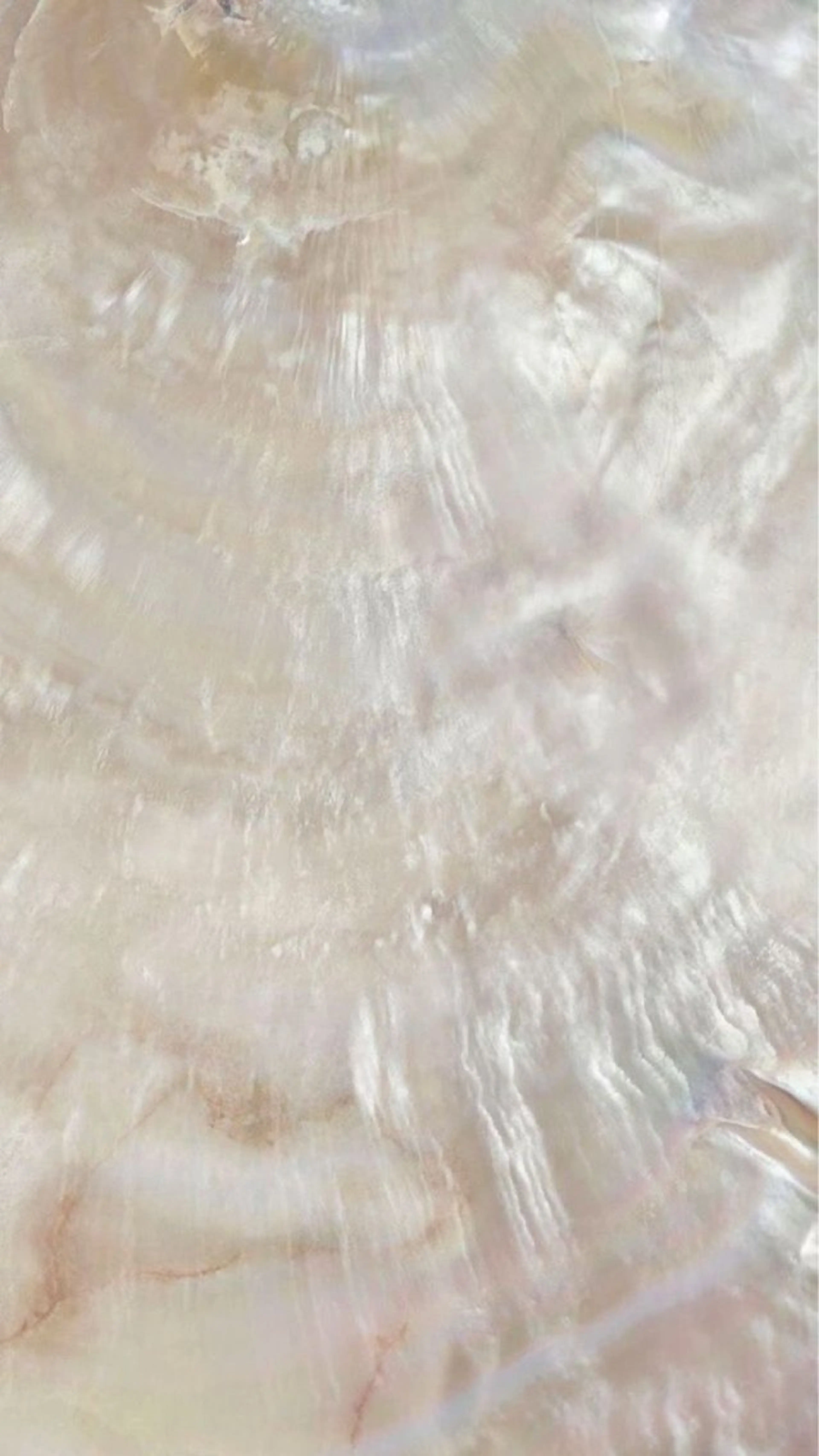 Oct 中目黒ykのマツエク・マツパデザイン