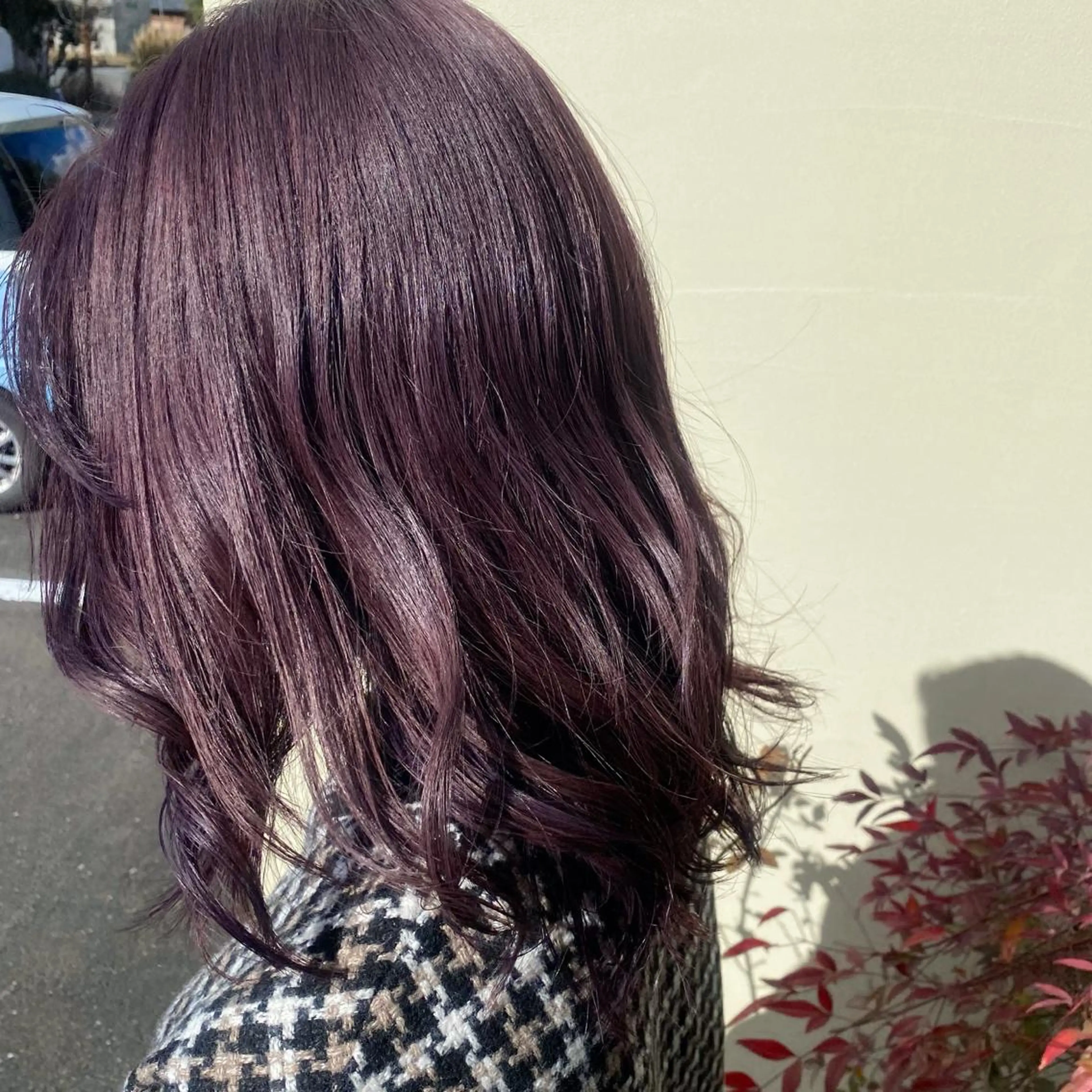 ［再来］U24限定 カット✂︎カラー　2回目、3回目の方はこちら！の写真