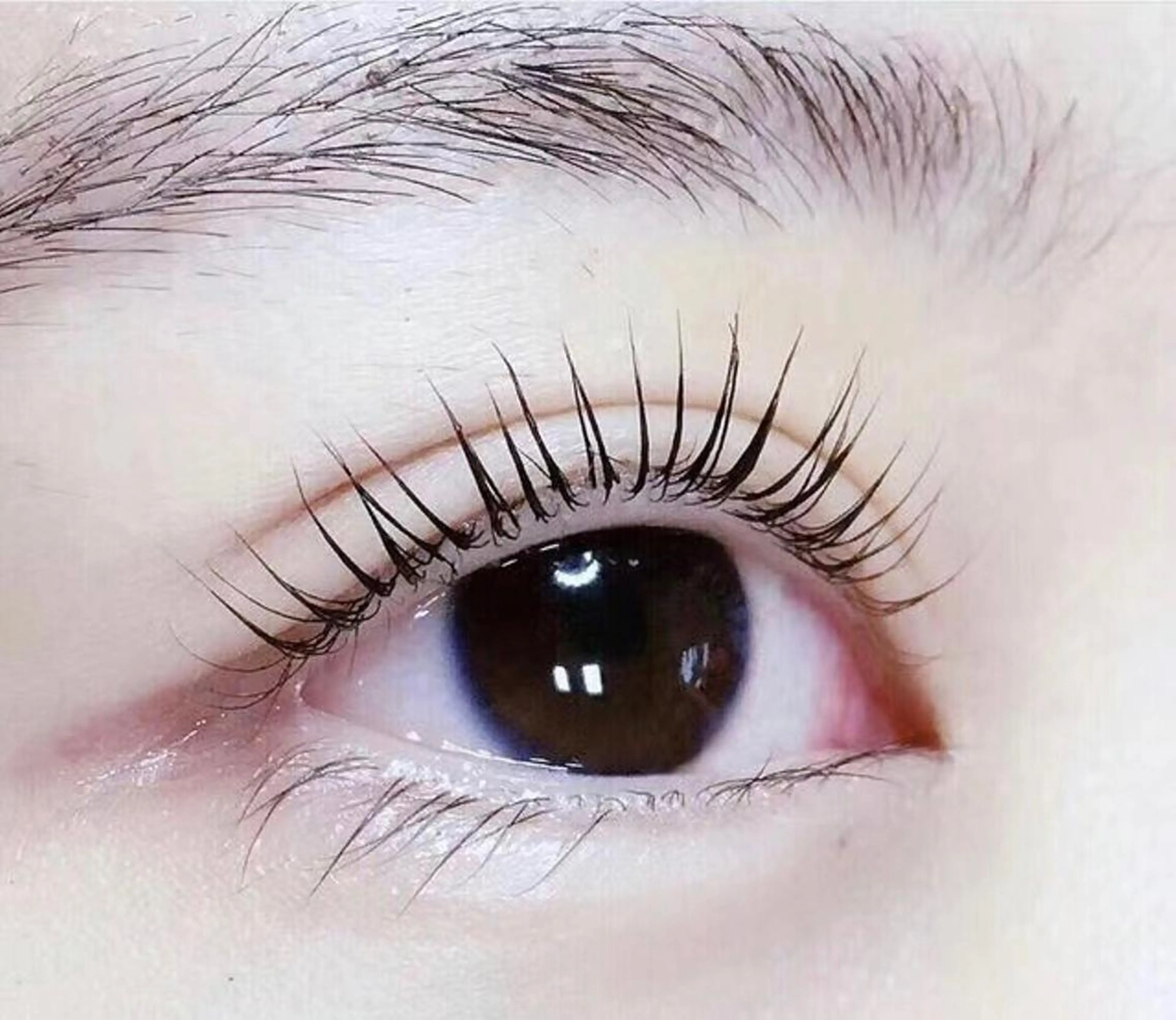 マツエク・マツパ 三浦  由美のマツエク・マツパデザイン