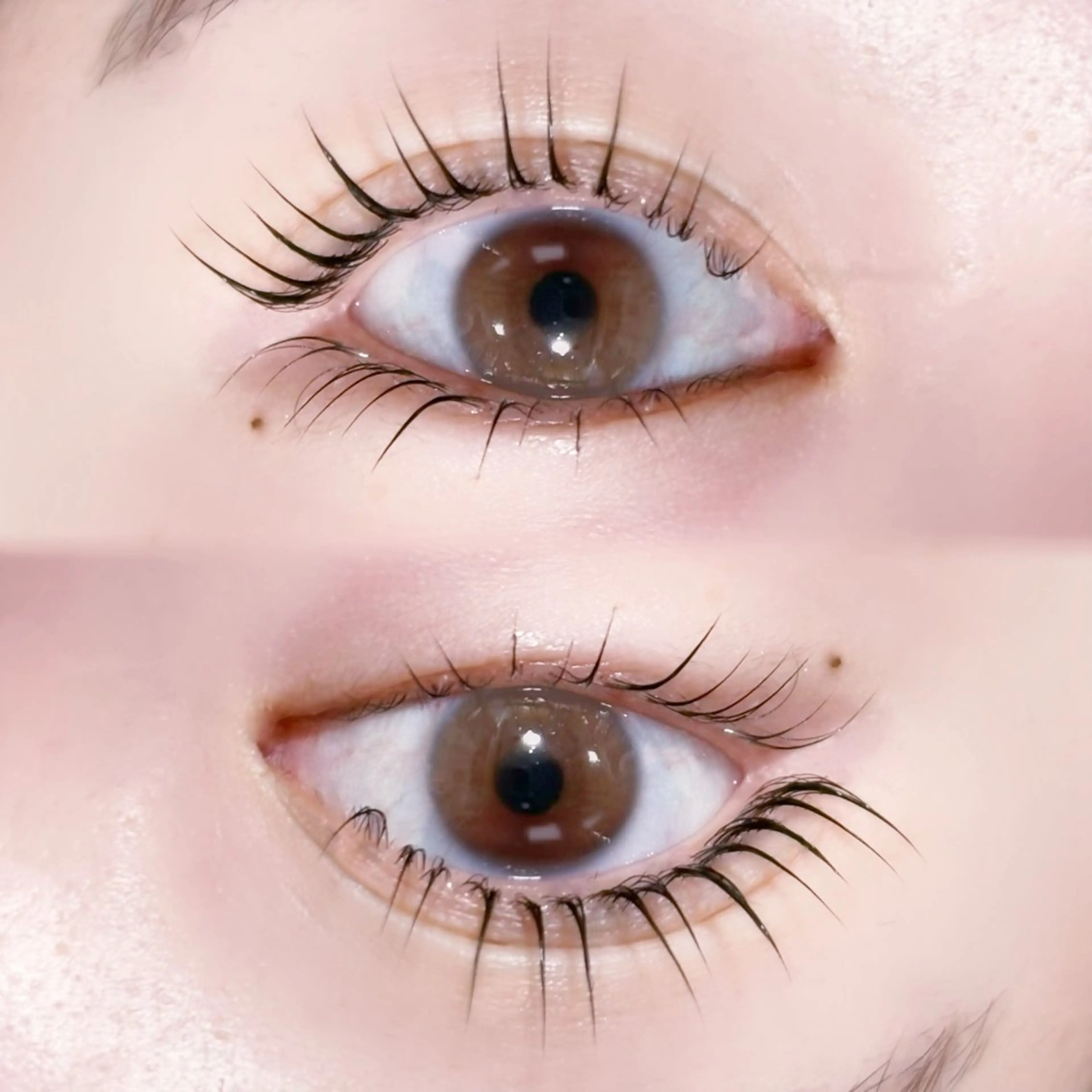 マツエク・マツパ マツパ マリーテレジア ogataの眉毛・アイブロウイメージ