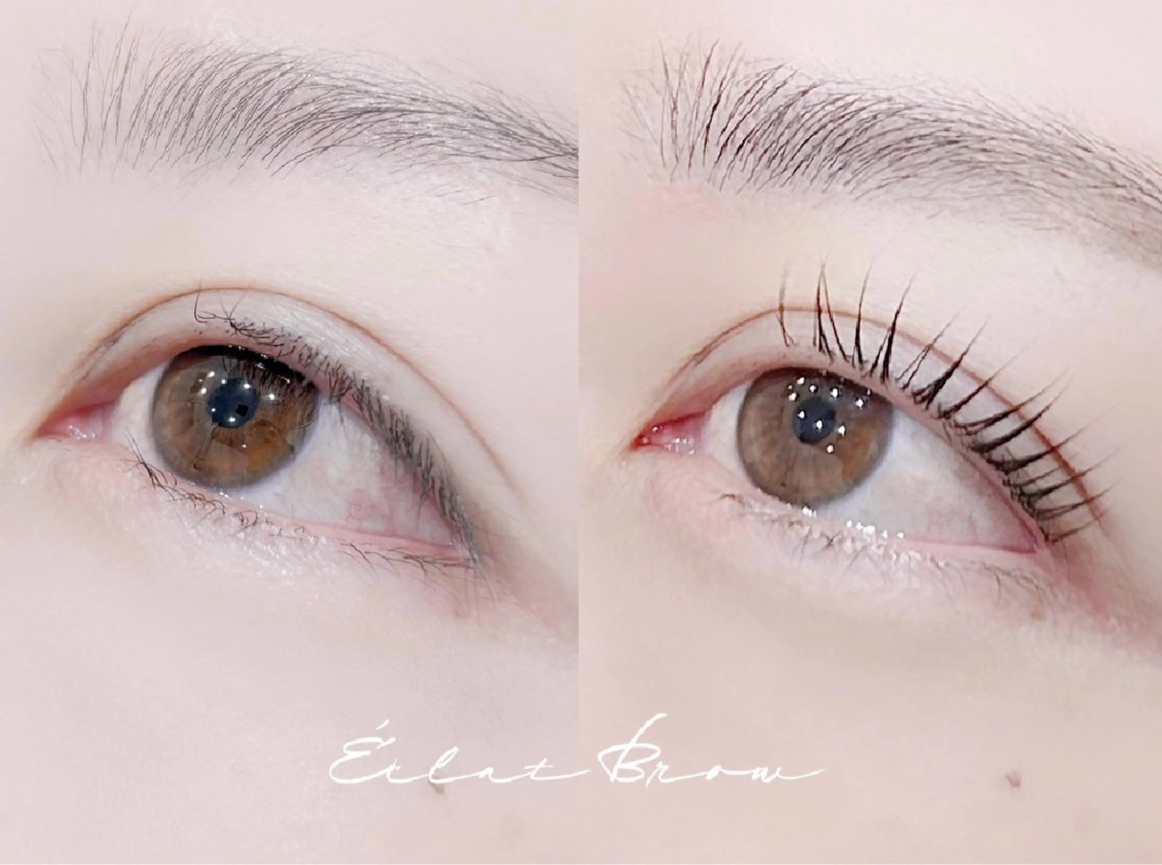 アイブロウ エクラブロウ 柏駅東口店のマツエク・マツパデザイン