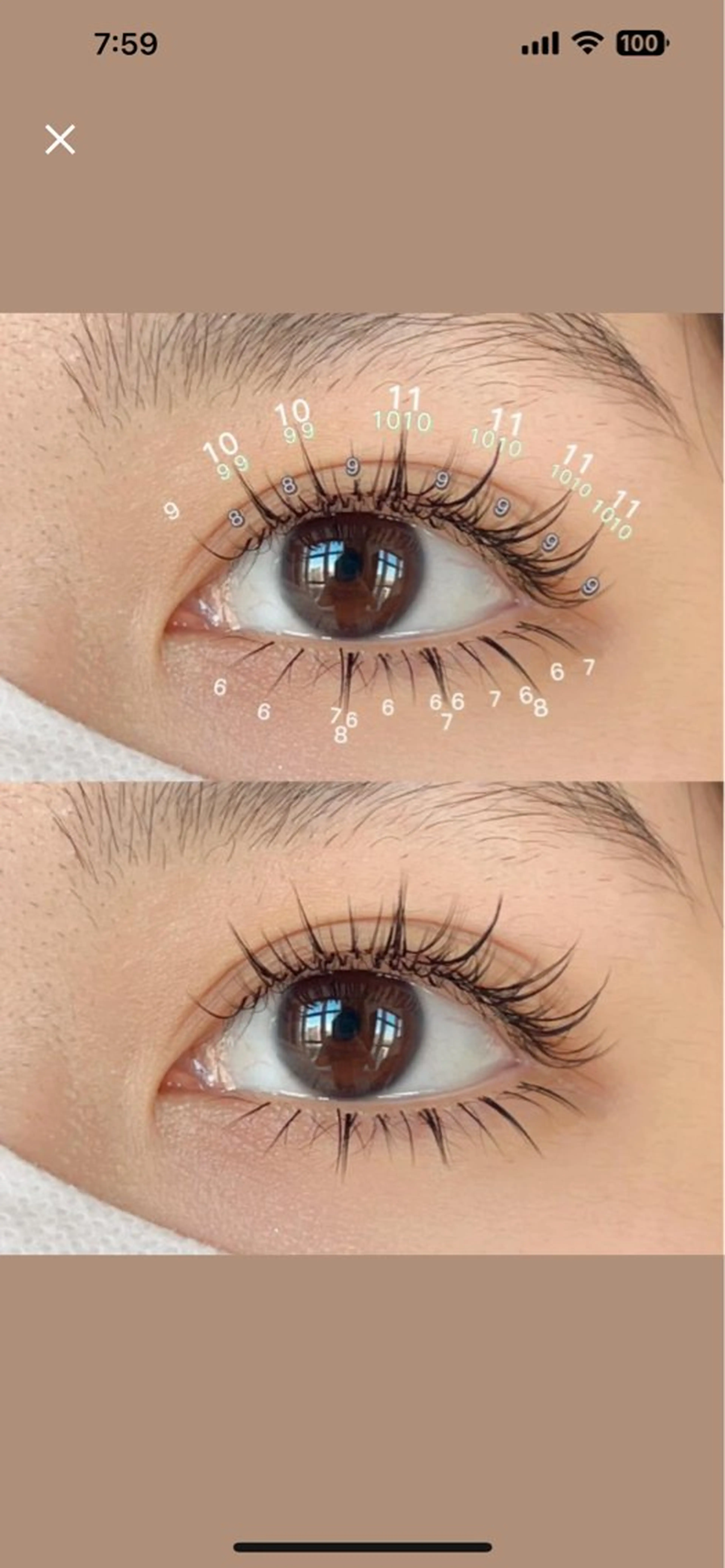 マツエク・マツパ マツエク Arana池袋 Ayumi🦋のマツエク・マツパデザイン