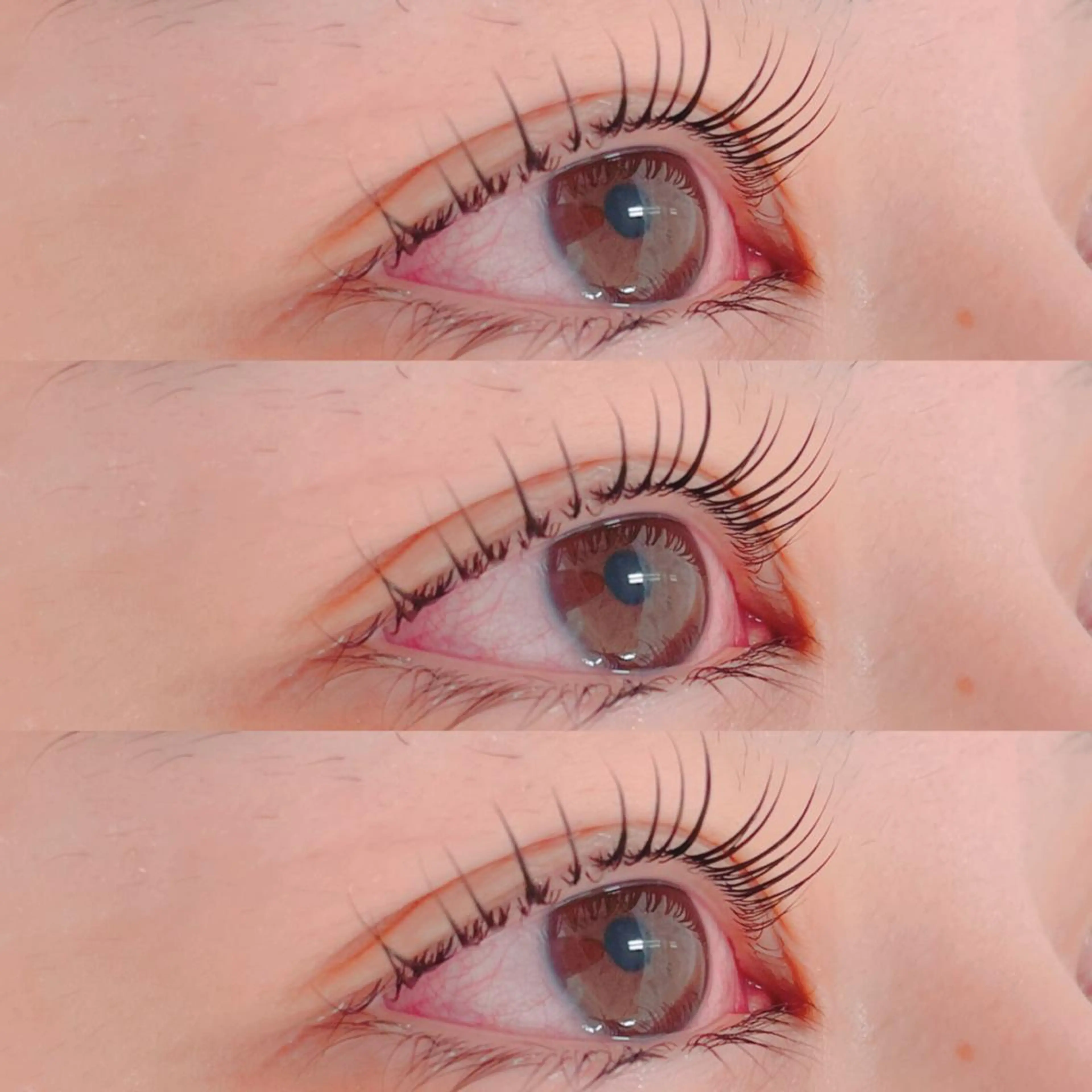 マツエク・マツパ Dカール 一重×まつ毛パーマ A yuのマツエク・マツパデザイン