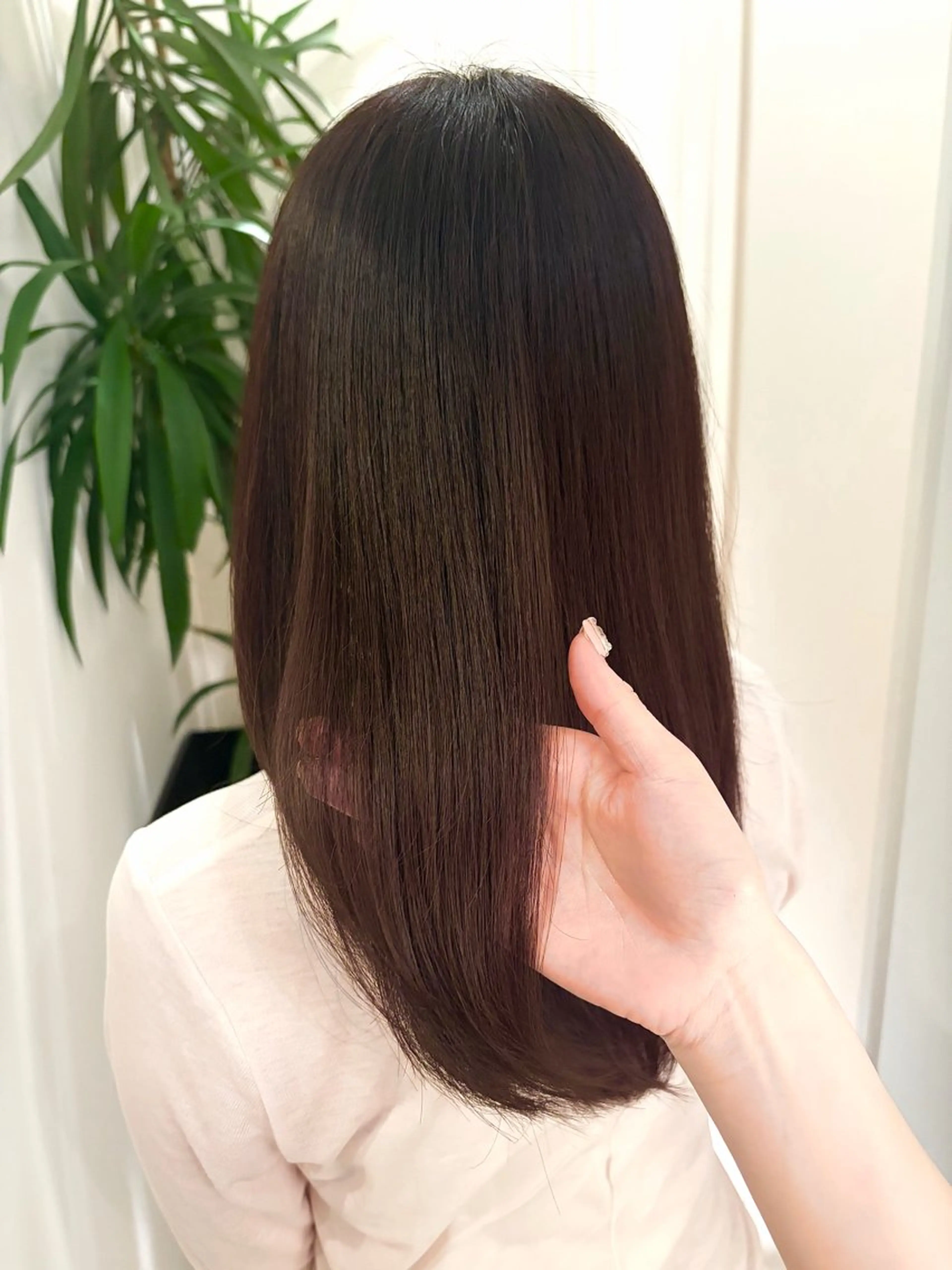 セミロング Koyuki /透明カラー/ボブのヘアスタイル