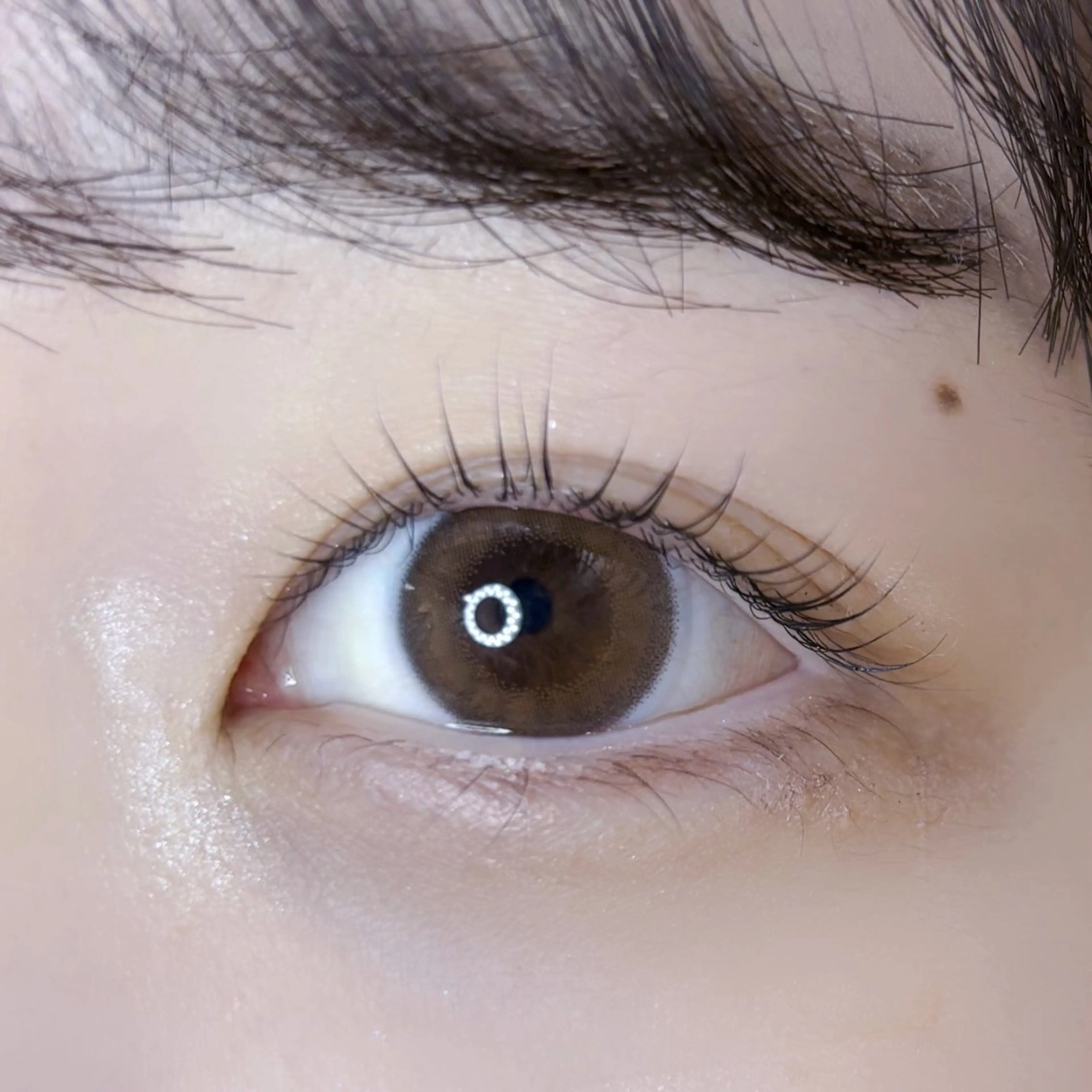 マツエク・マツパ Arms /イオリ🎀✨️のマツエク・マツパデザイン