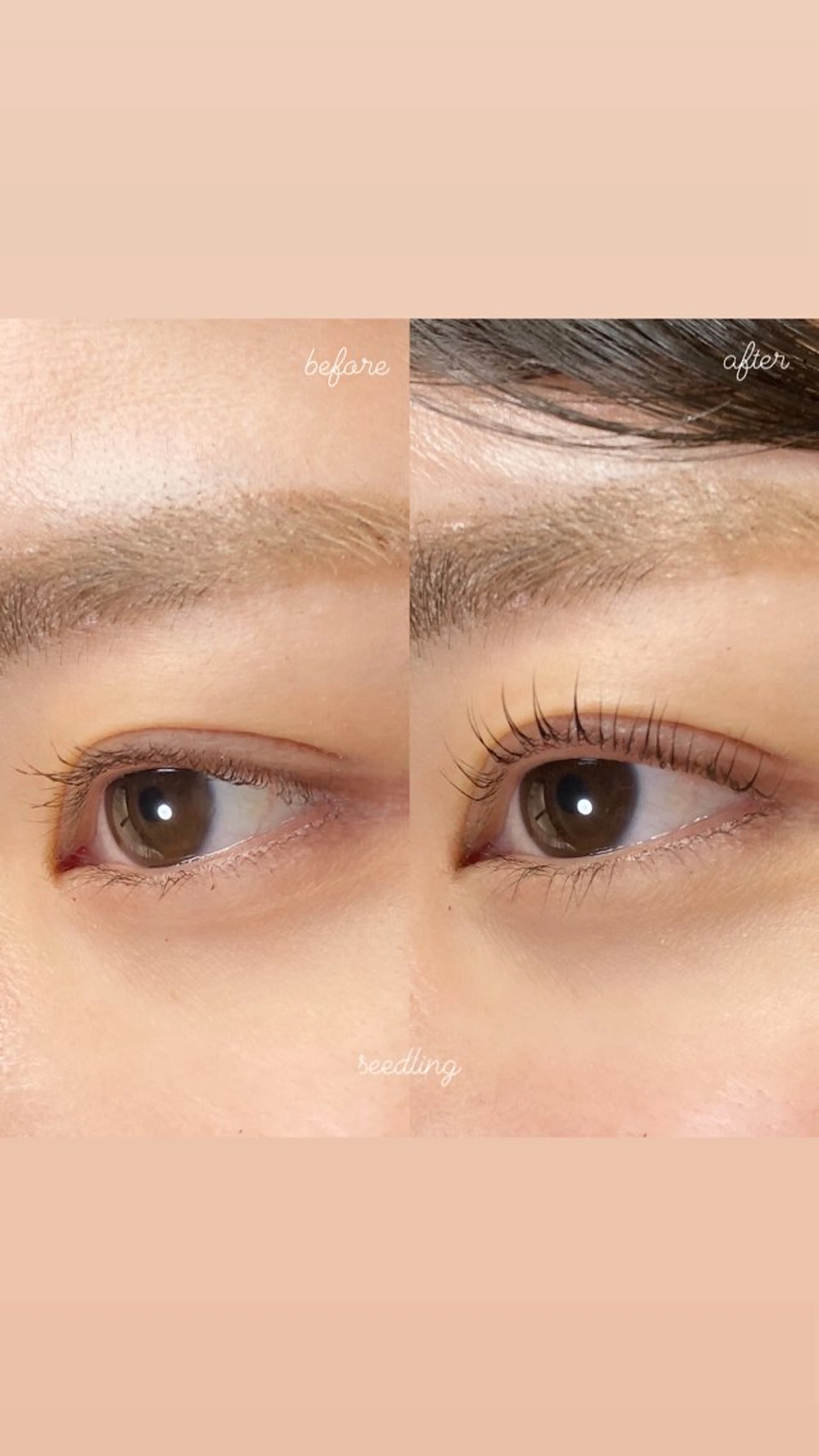 マツエク・マツパ マツパ シードリン 府内店 杉田のマツエク・マツパデザイン