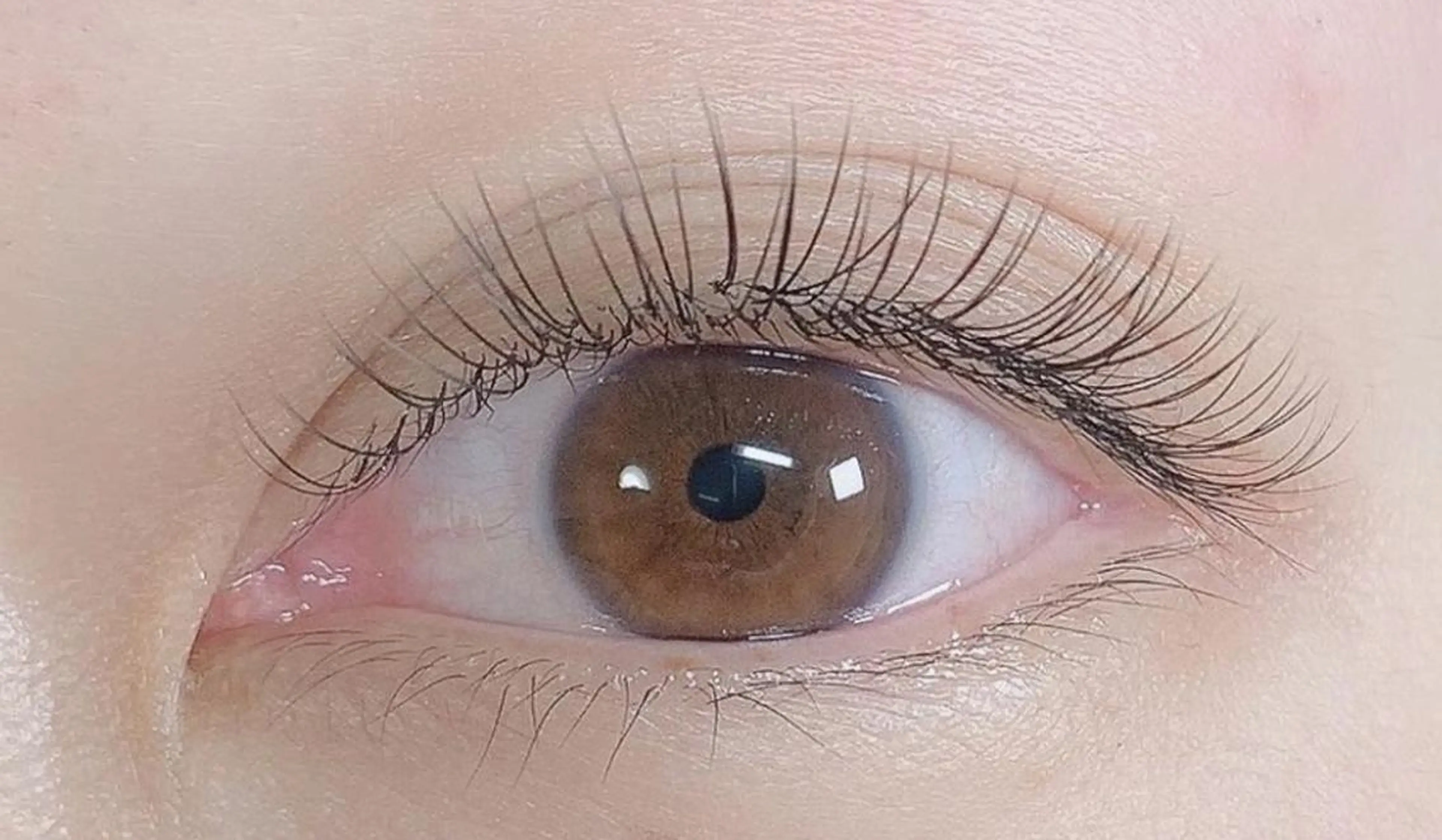 マツエク・マツパ フェリシータリコルソ 大野未来⭐️のマツエク・マツパデザイン