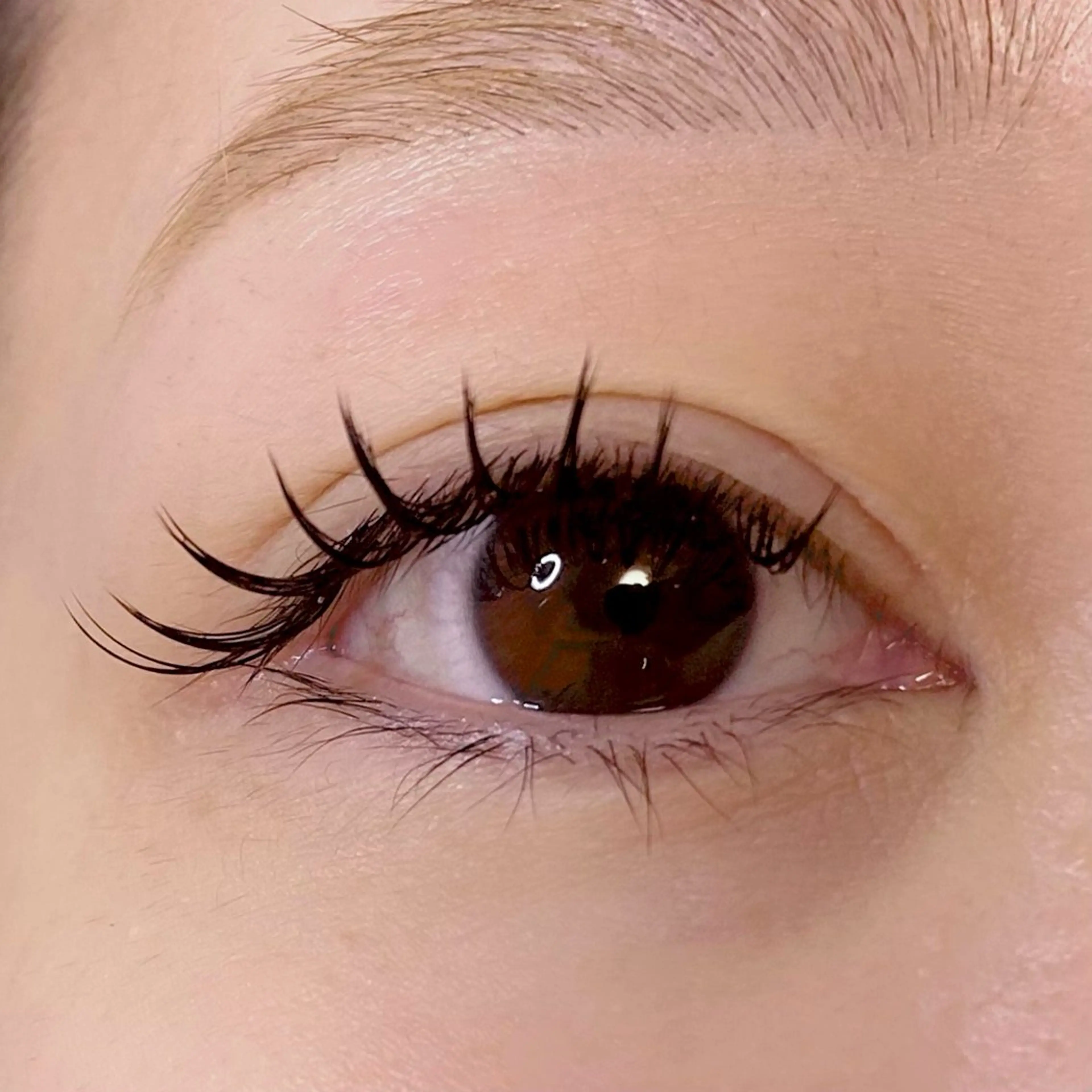 マツエク・マツパ 🍒Anela 神田ゆか🍒のマツエク・マツパデザイン