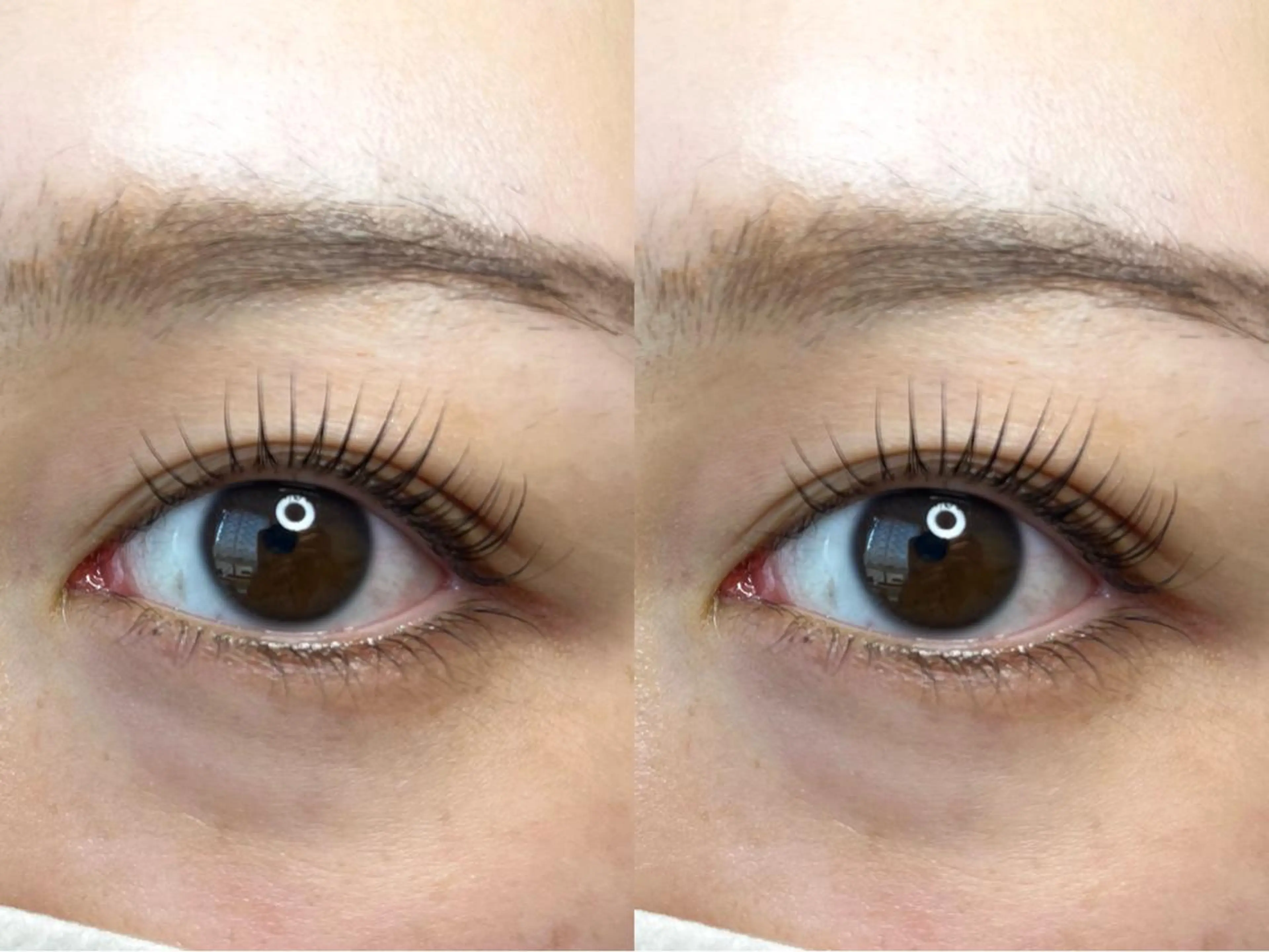 マツエク・マツパ アッパーリフトカール Sakamoto Miaの眉毛・アイブロウイメージ