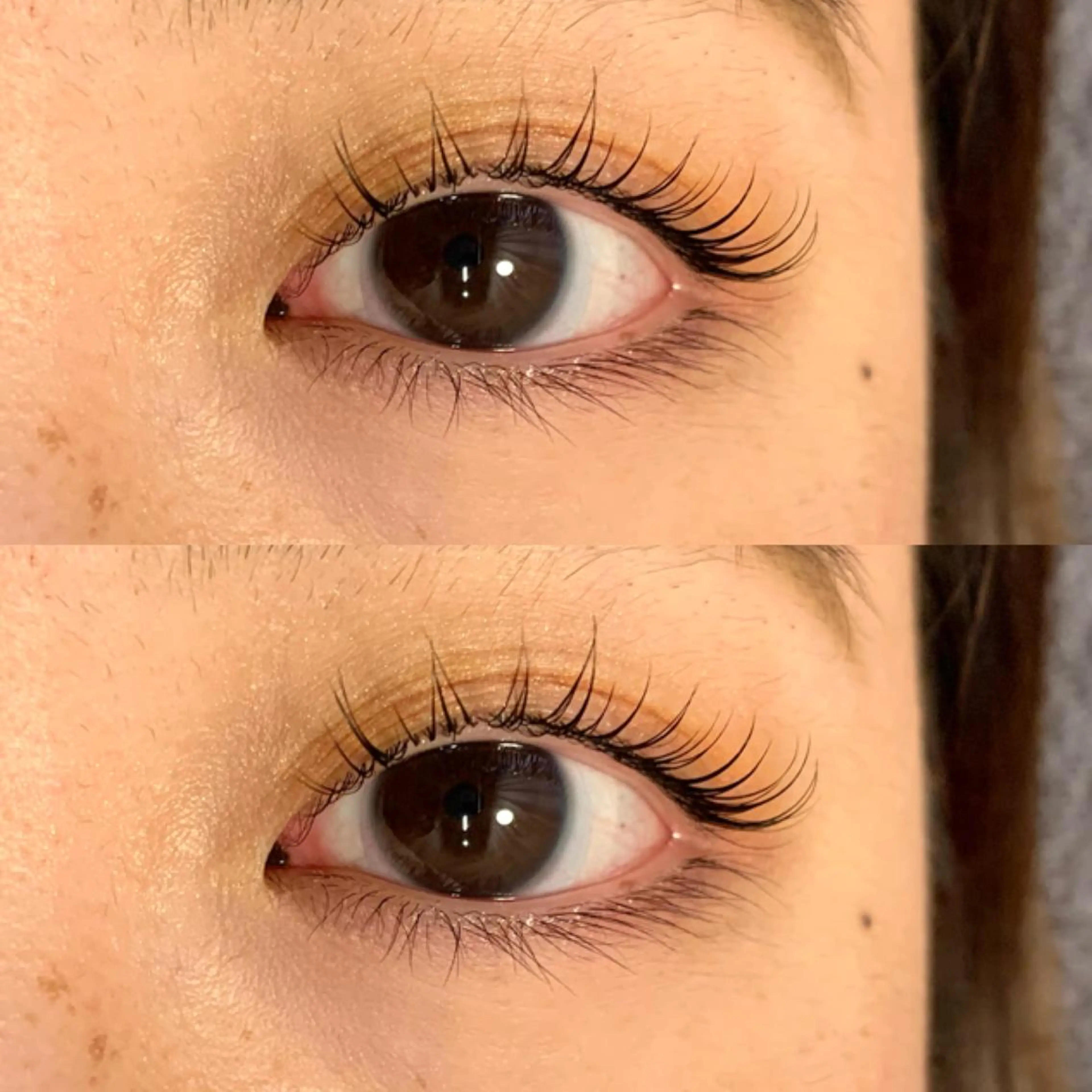 マツエク・マツパ Ebisutani 学大/まつエクのマツエク・マツパデザイン