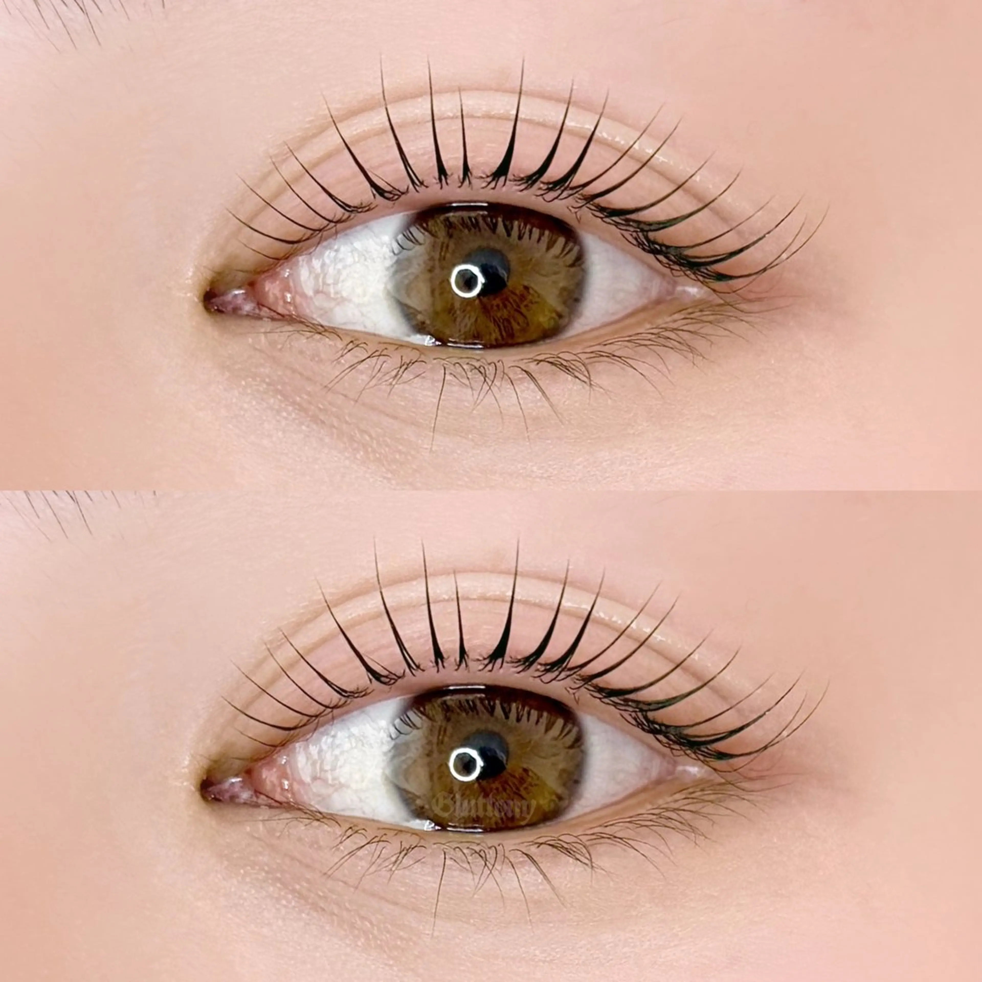 マツエク・マツパ マツパ Gluttony/ ｸﾞﾗﾄﾆｰのマツエク・マツパデザイン