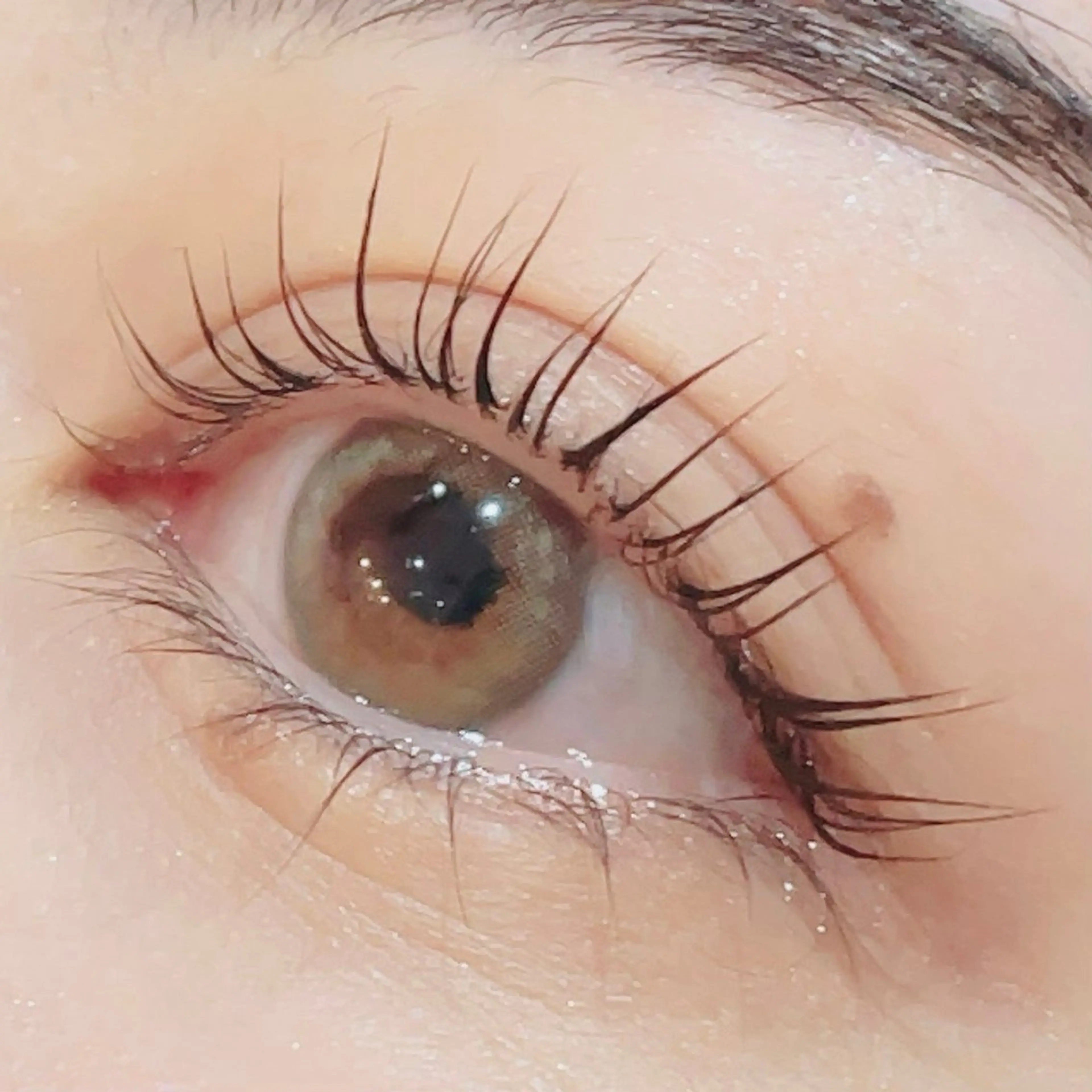 マツエク・マツパ Cerise La La(スリーズララ)所属・まつ毛パーマ×脱毛 スリーズララ🌼の眉毛・アイブロウイメージ