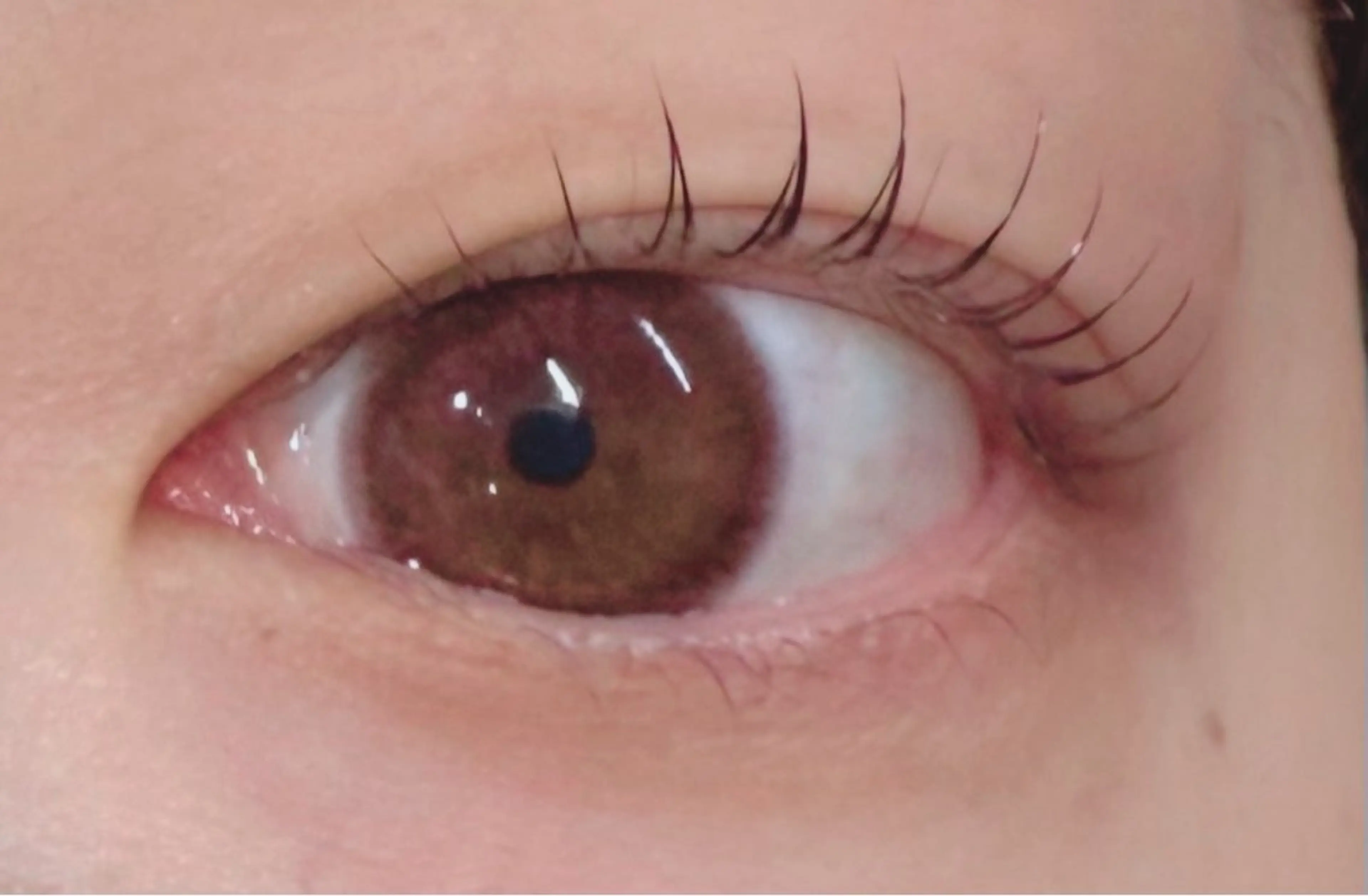 マツエク・マツパ ココラッシュ 町屋店のマツエク・マツパデザイン