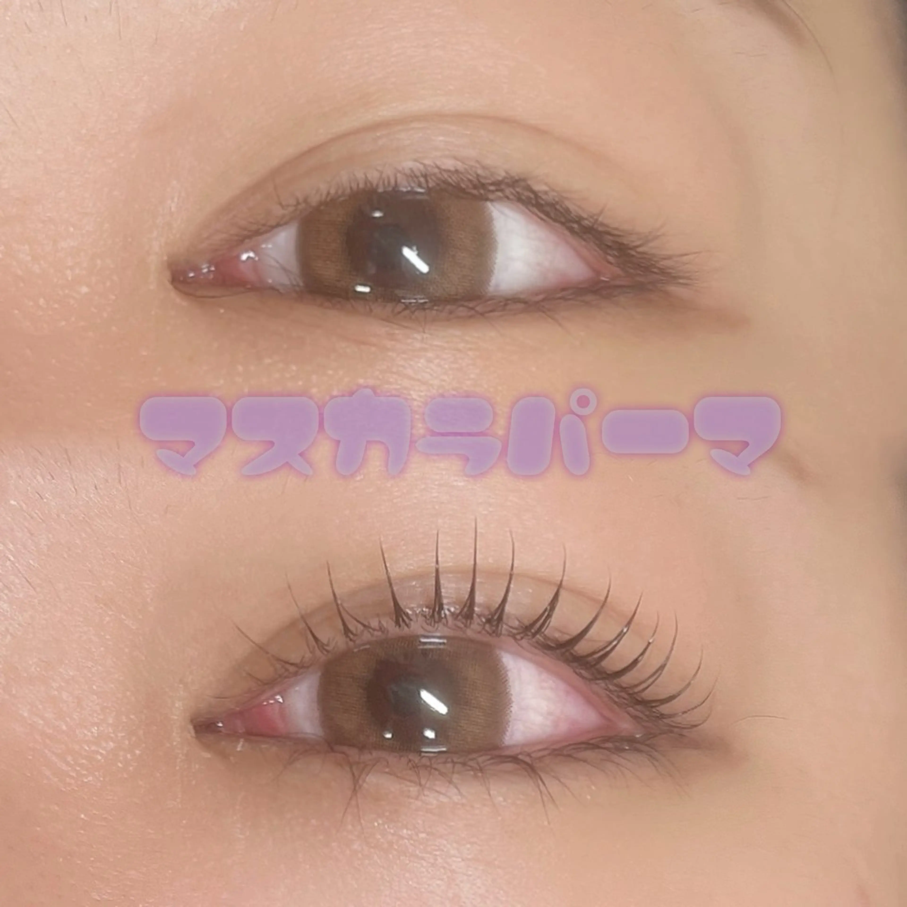 【5週以内のリピーター様限定🍁】🐾マスカラまつげパーマ🐾ケアメニュー付🤍の写真