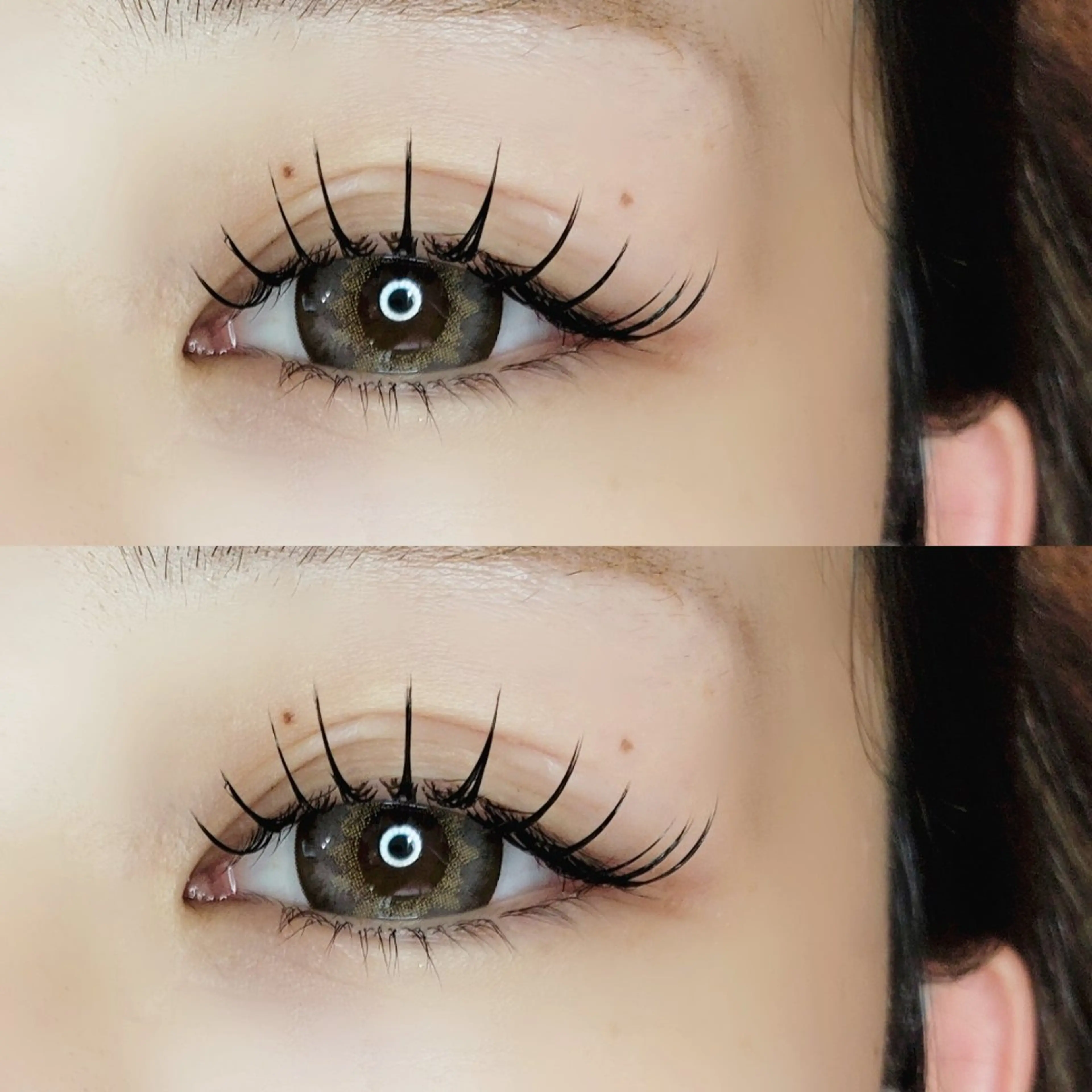 セーブル 130本の写真