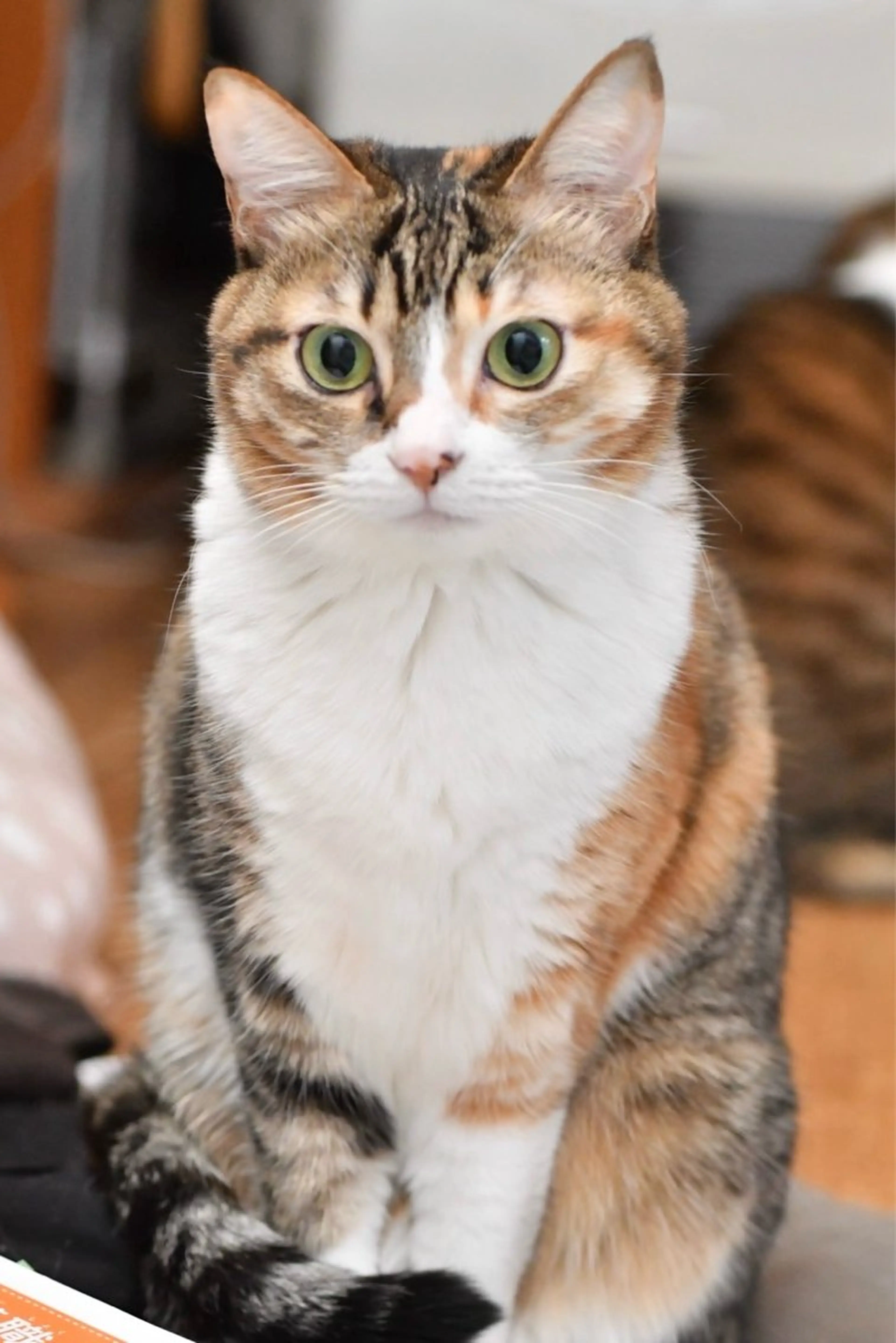 Spiky とうげ ふうかのネイルデザイン