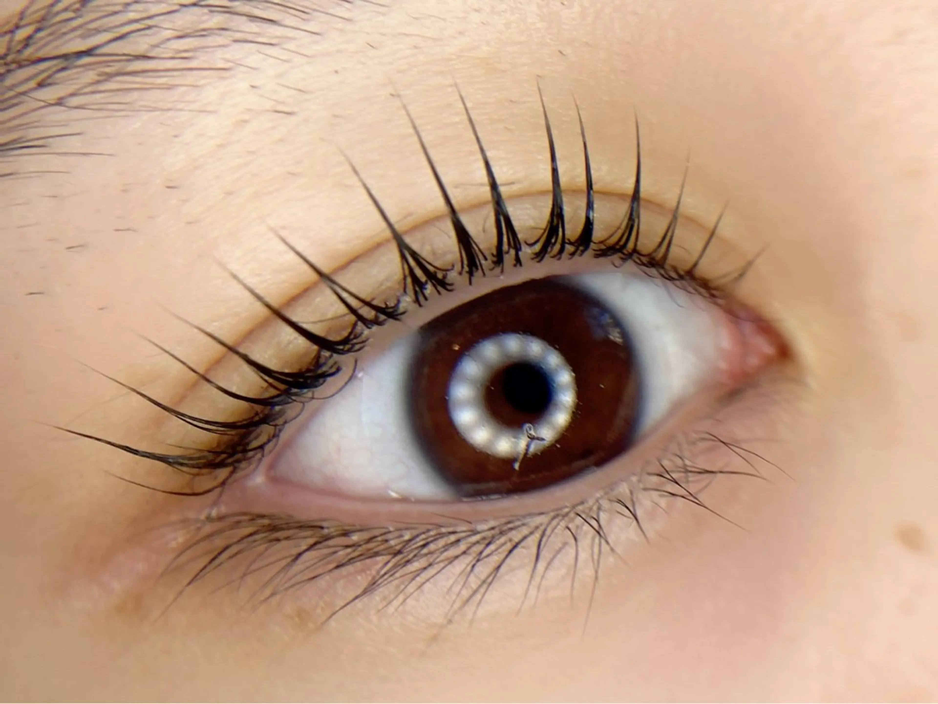 マツエク・マツパ マツパ tomte トムテのマツエク・マツパデザイン