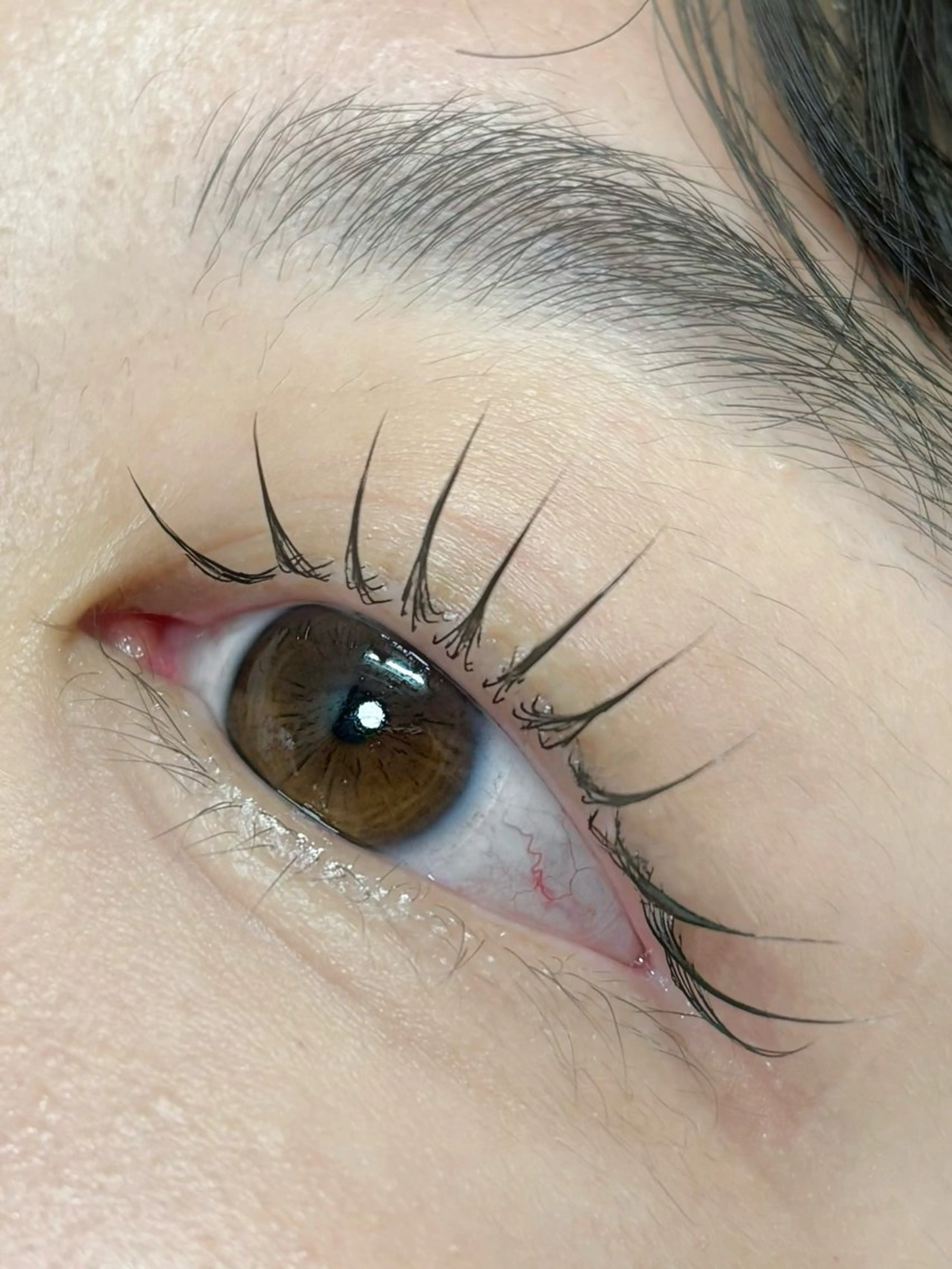 【ご新規様】ちゅるんまつげパーマ¥6600→¥4980の写真