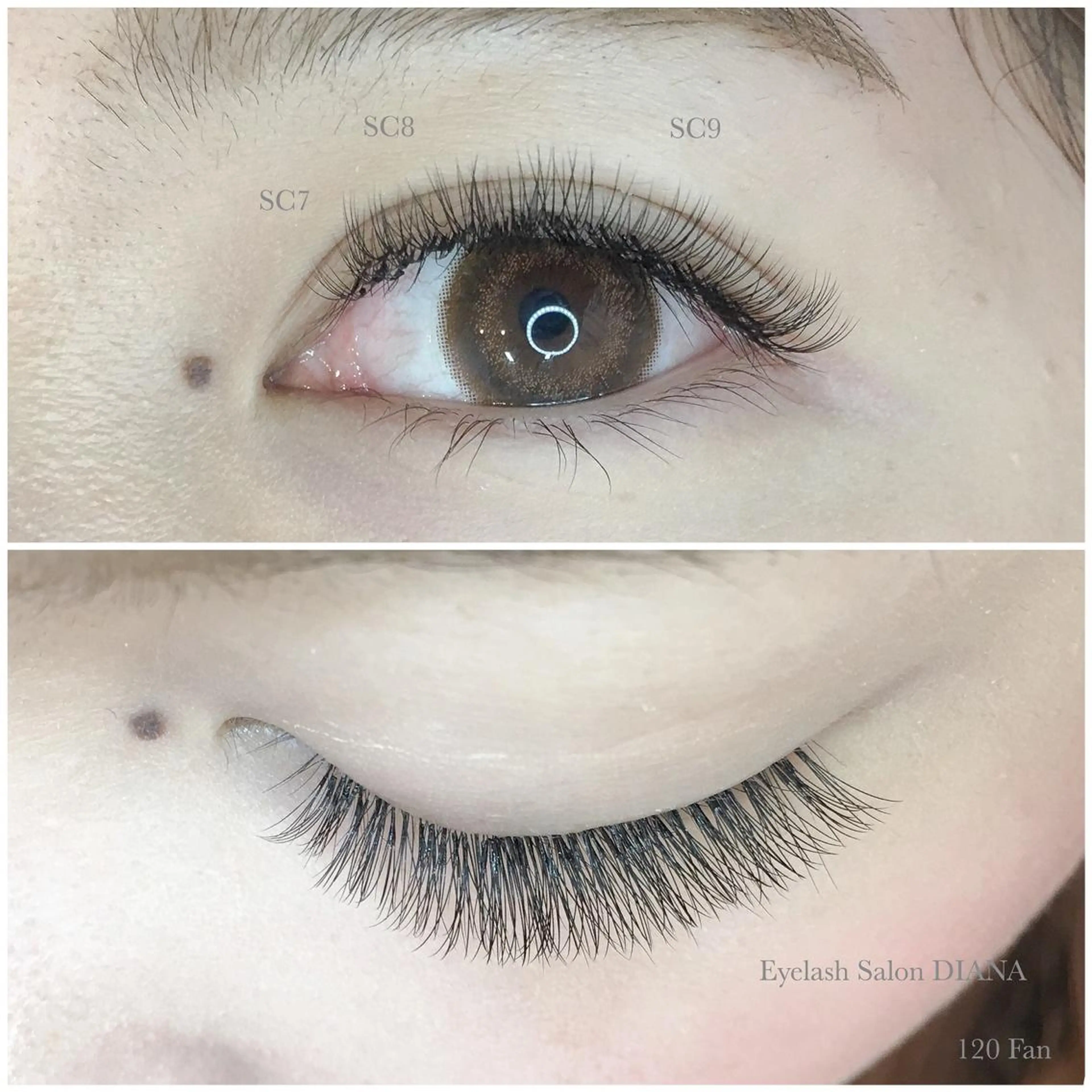 マツエク・マツパ DIANA ·͜· Hamadaのマツエク・マツパデザイン