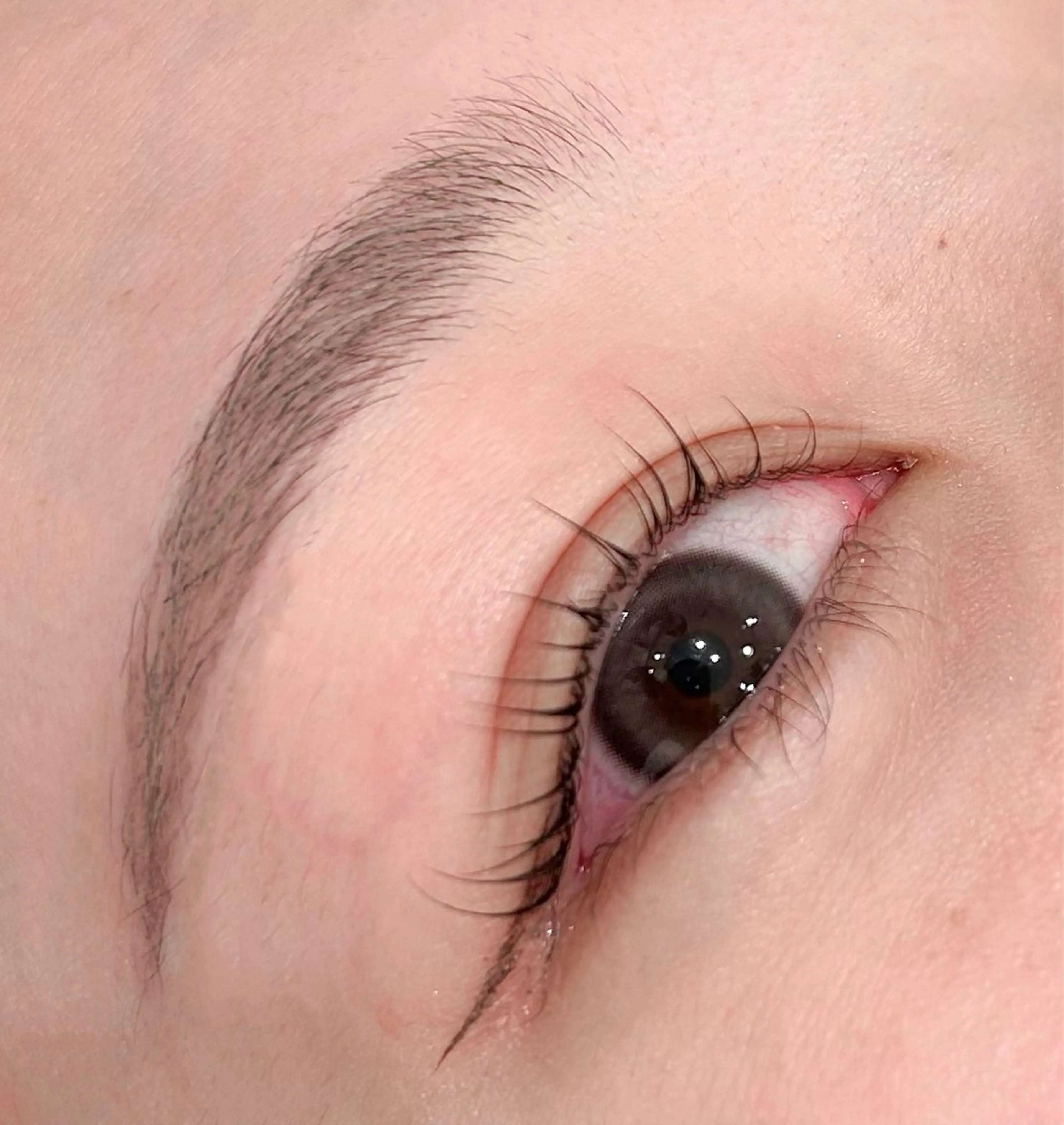 本日18:30~限定‼️✨まつげパーマ無料モデル✨の写真