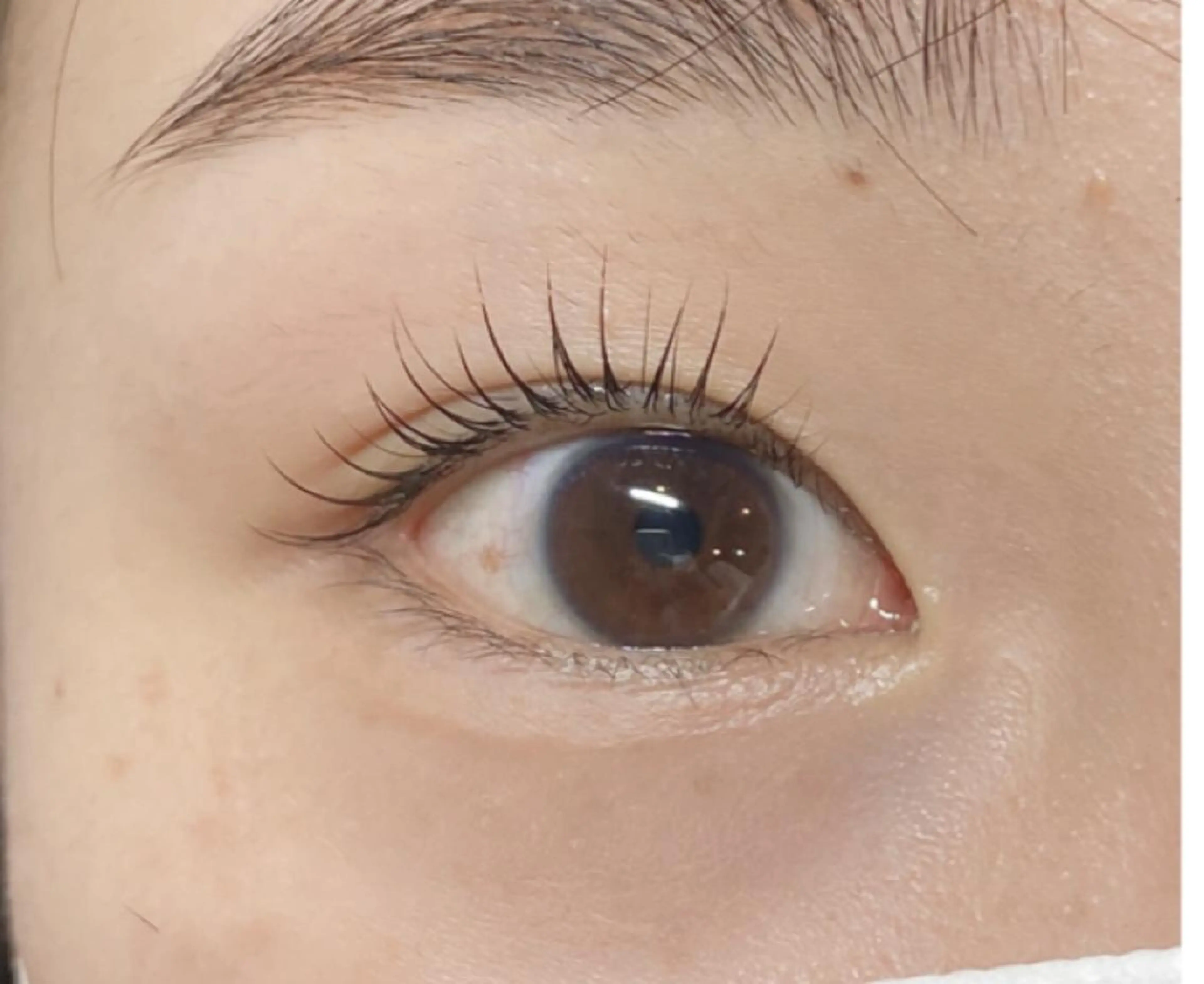 💥ケラチンラッシュリフト💥の写真