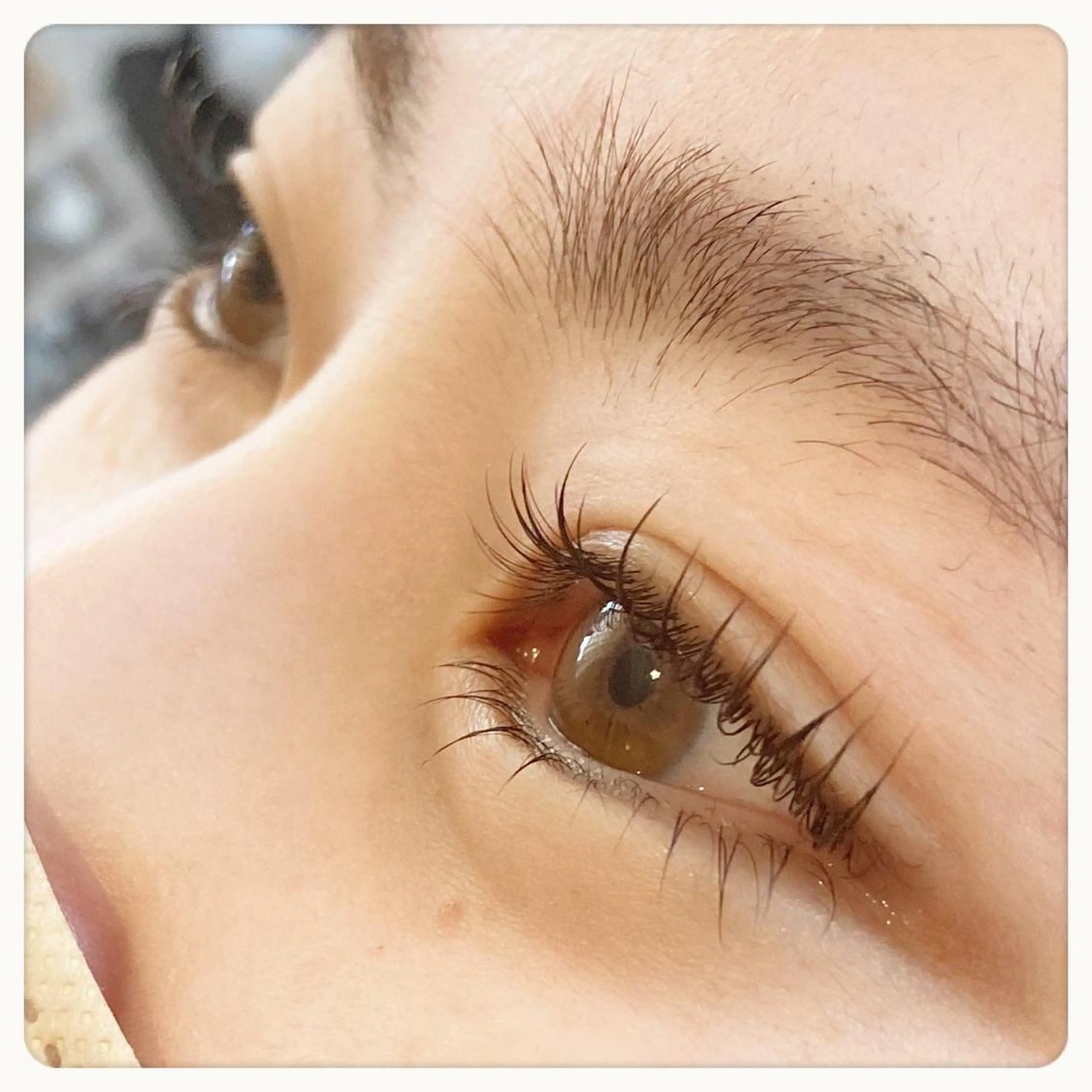 上下ラッシュリフト(まつげパーマ)の写真