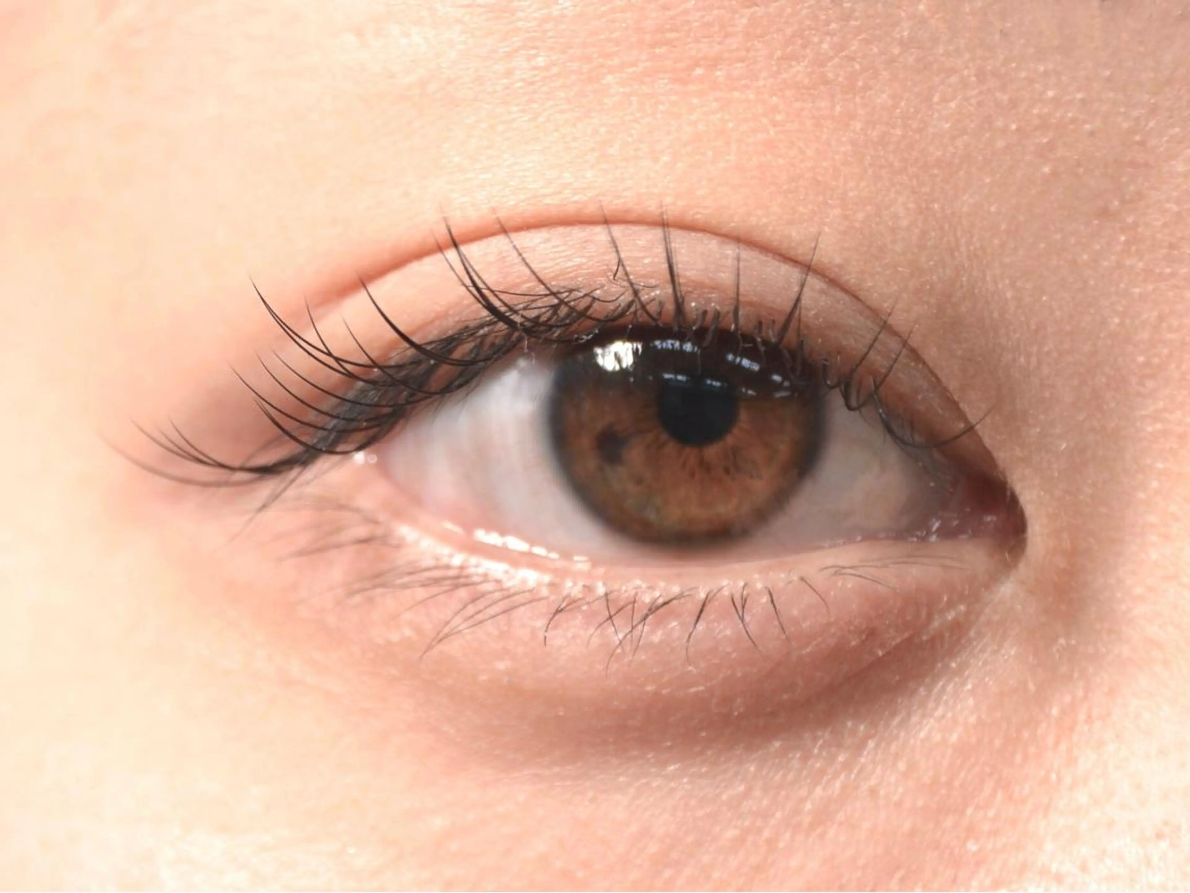 マツエク・マツパ マツエク eyelist Miyazakiのマツエク・マツパデザイン