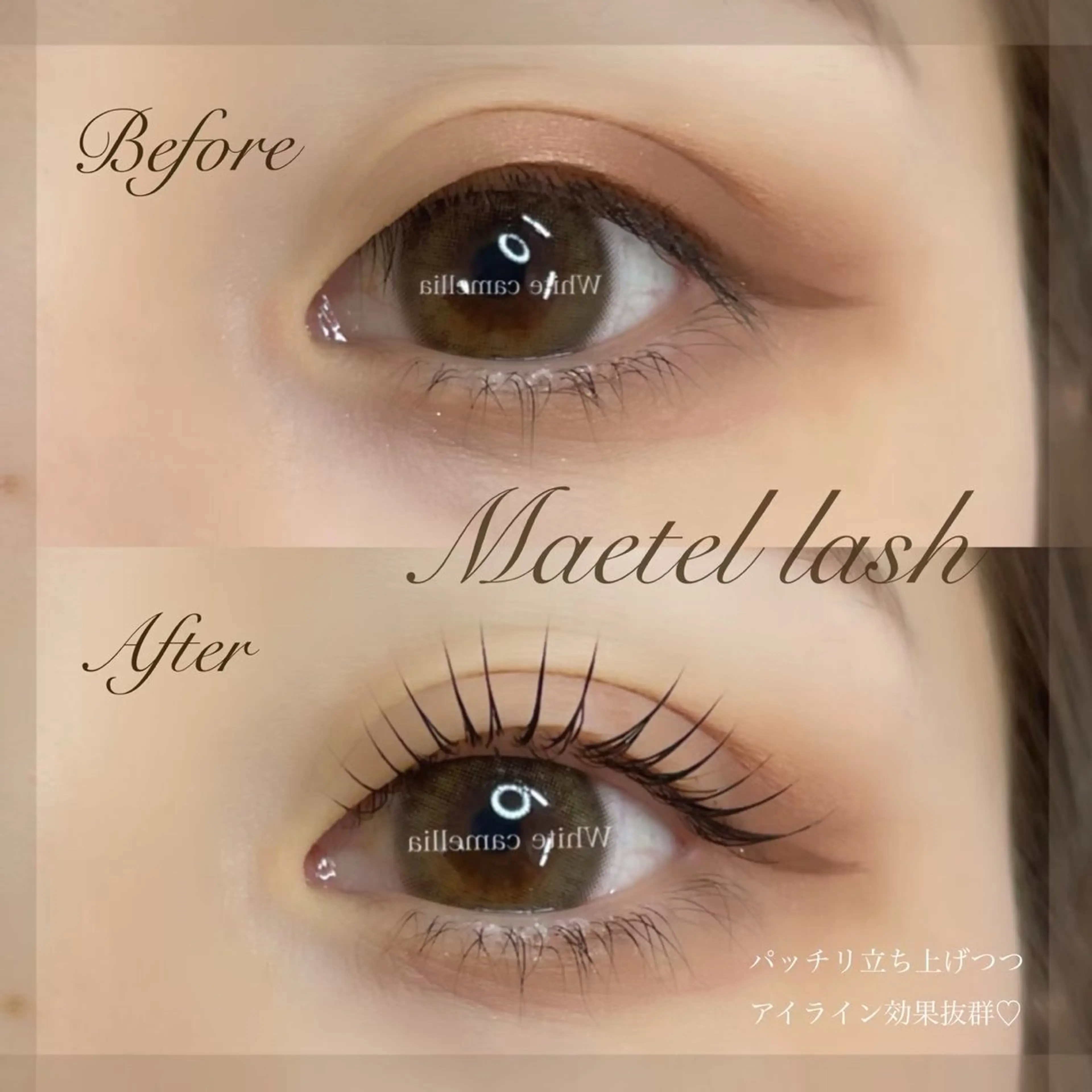 マツエク・マツパ 韓国風束感まつ毛 🫧Sachieのマツエク・マツパデザイン