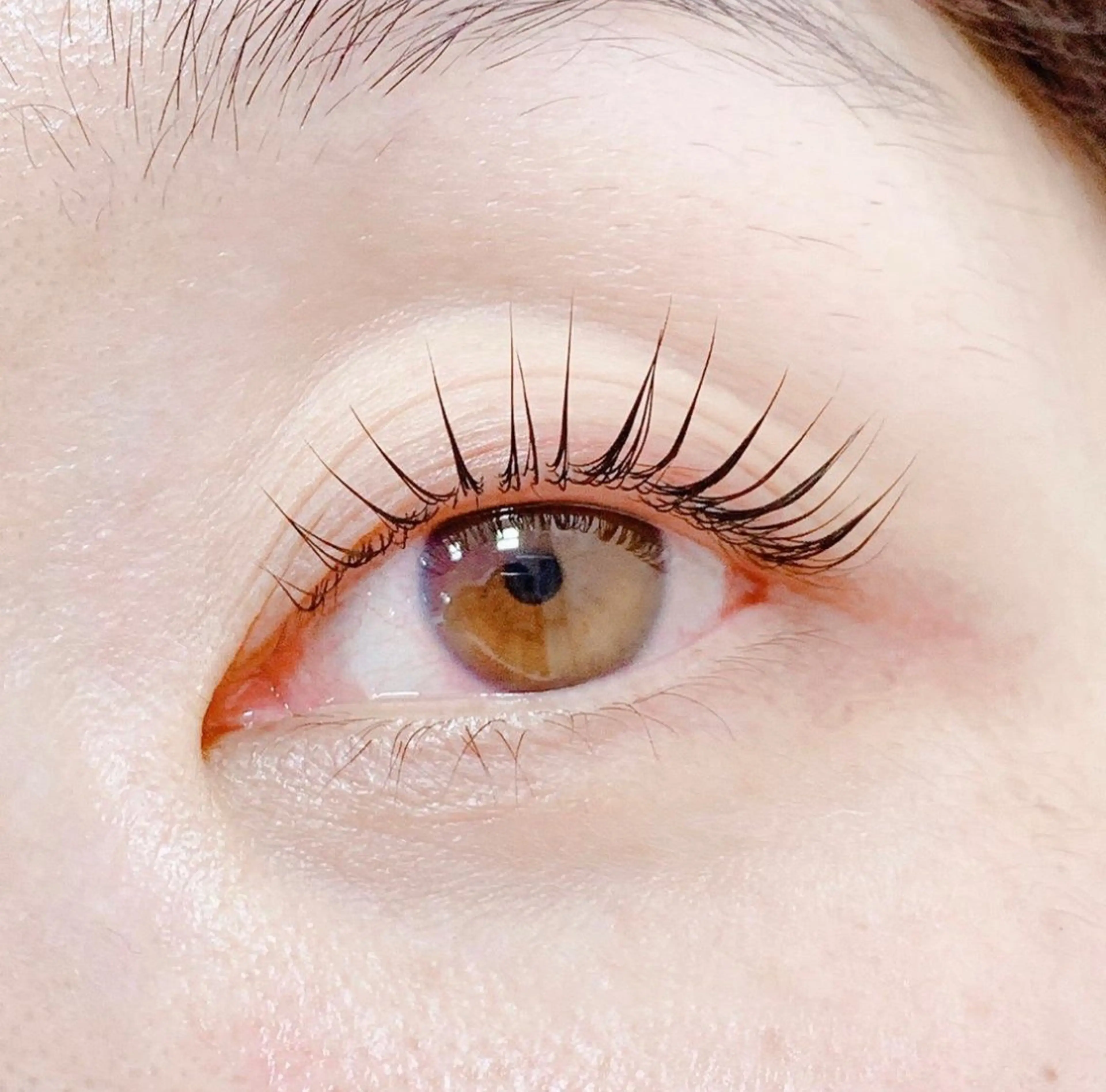 マツエク・マツパ Anela 🦋HARUMIの眉毛・アイブロウイメージ