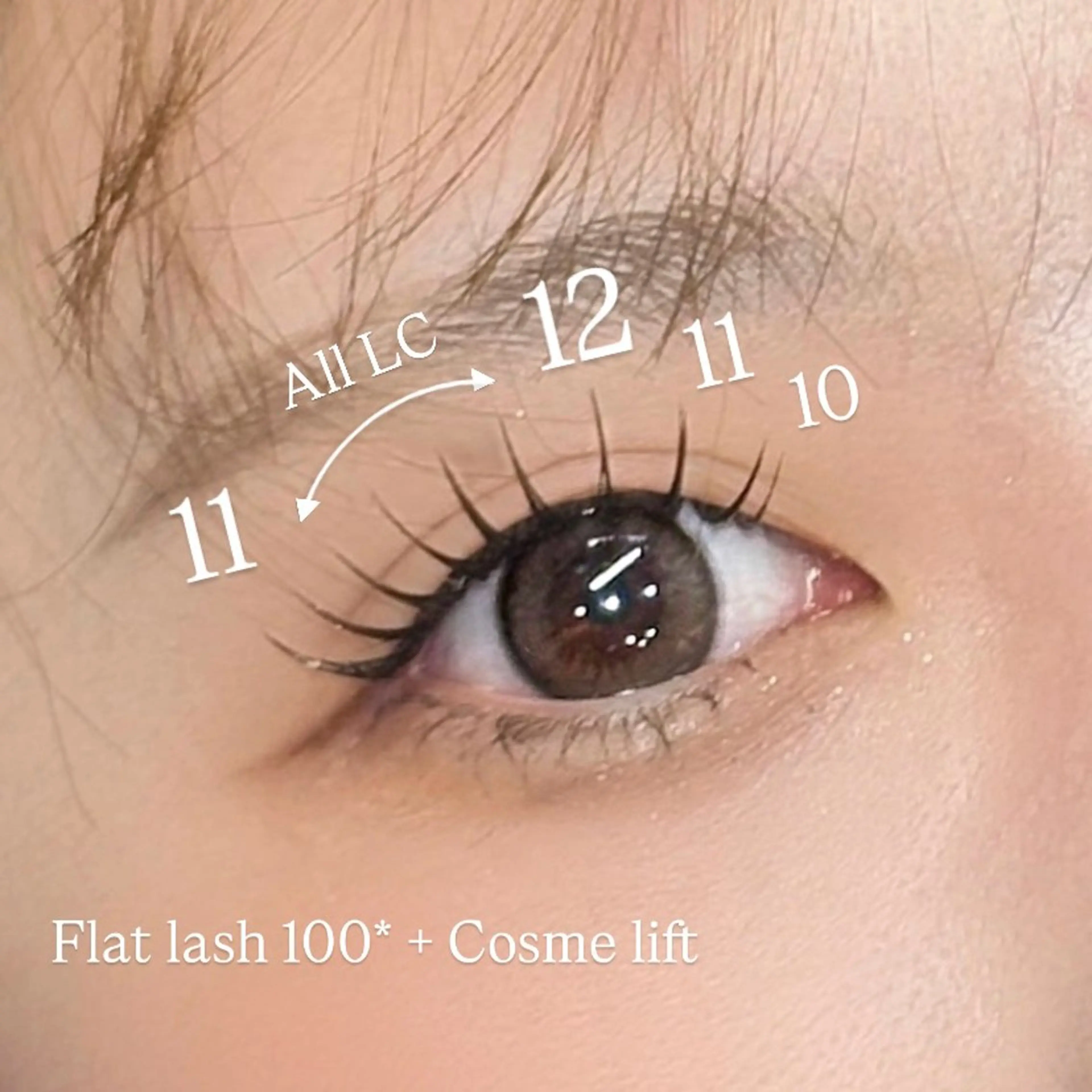 マツエク・マツパ マツエク AILEEN *のマツエク・マツパデザイン