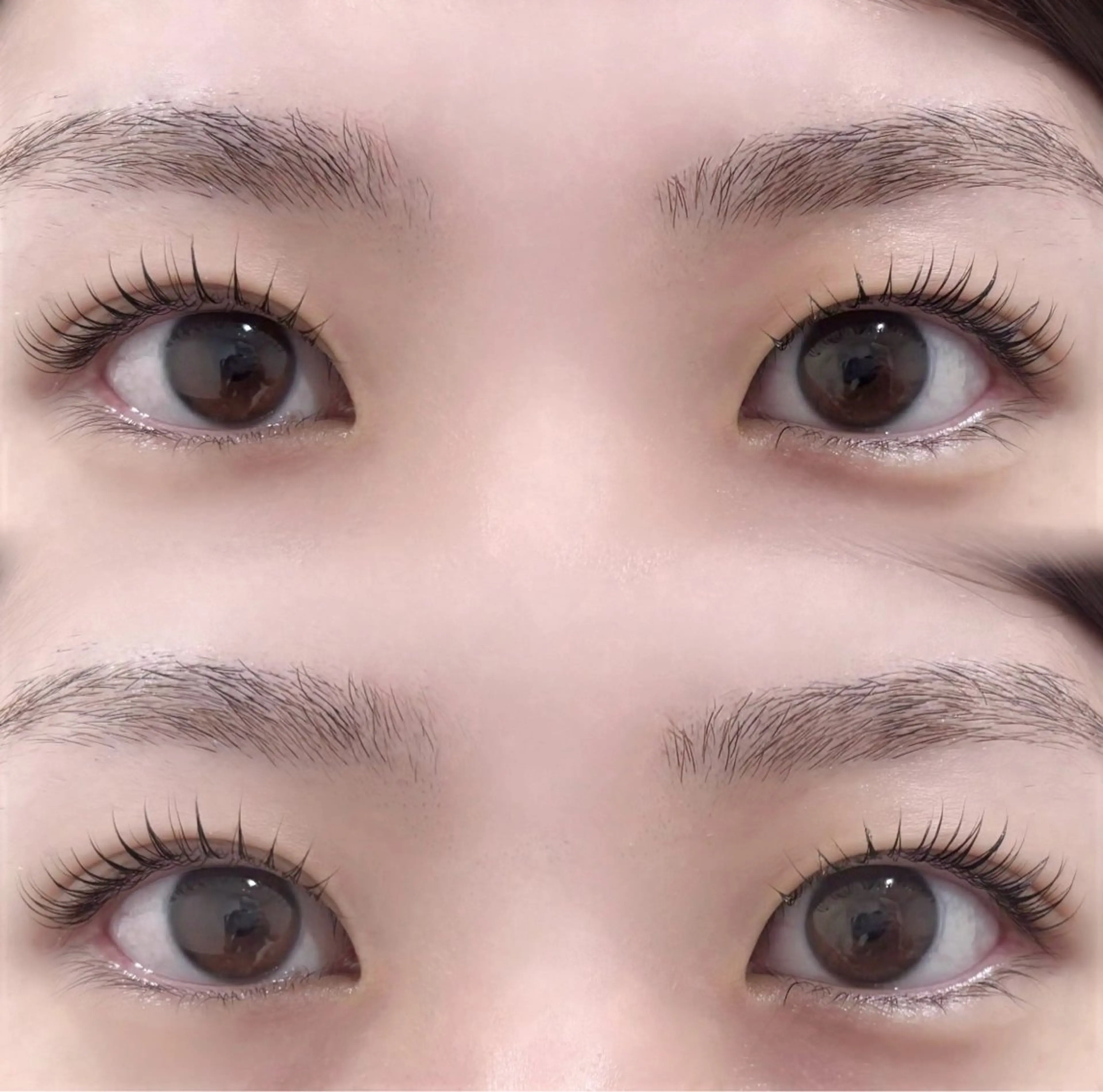 パーマ マツパ eyelash mimi🩶の眉毛・アイブロウイメージ