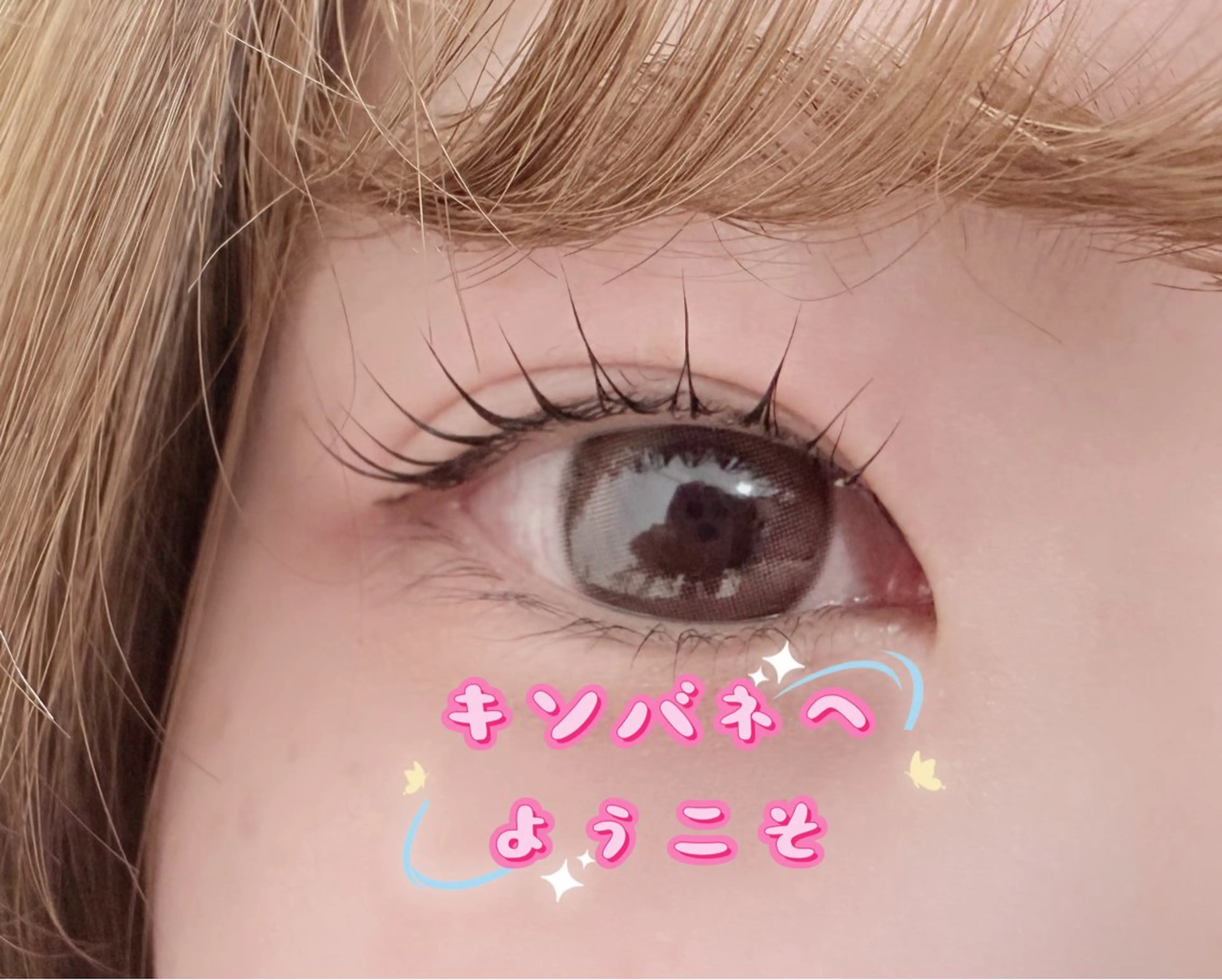 マツエク・マツパ 韓国風マツエク パリジェンヌラッシュリフト まつげパーマ 下まつげエクステ 一重×まつ毛パーマ マツパ キンバネ・サロン 高田馬場店のマツエク・マツパデザイン