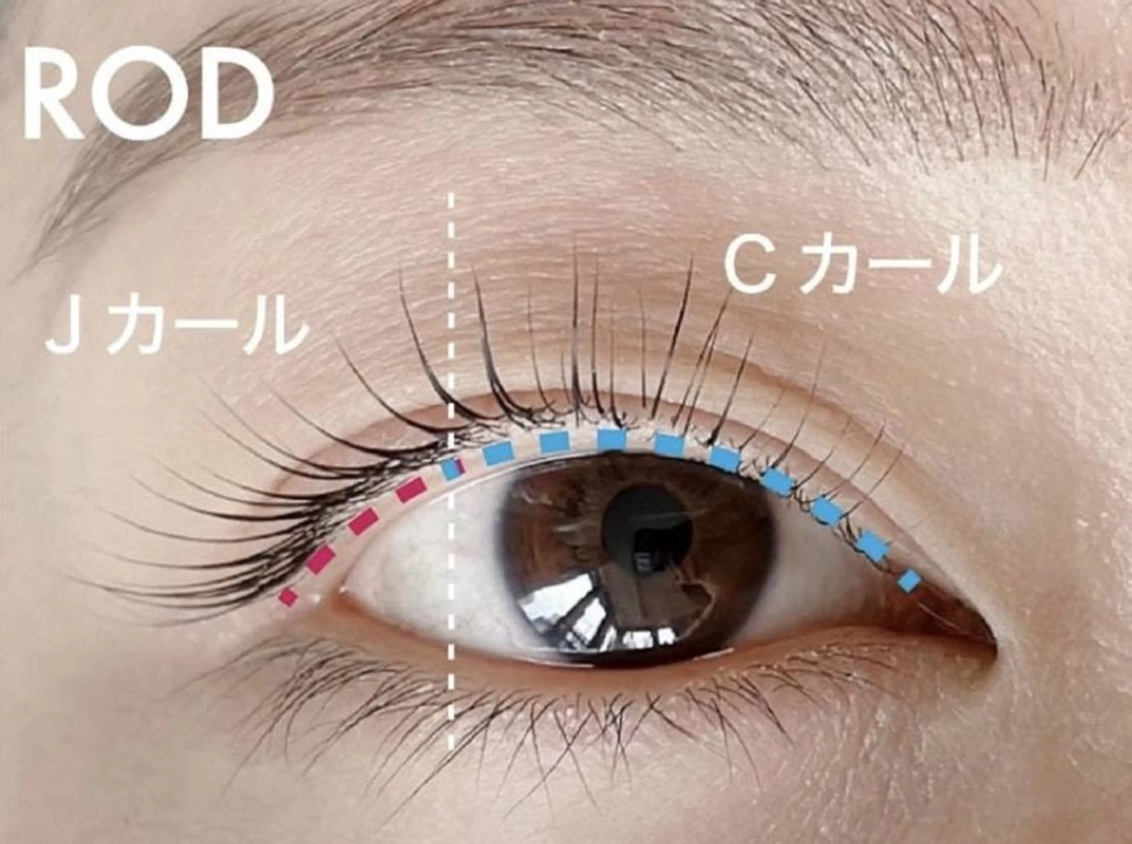 マツエク・マツパ RIAN Beauty池袋のマツエク・マツパデザイン