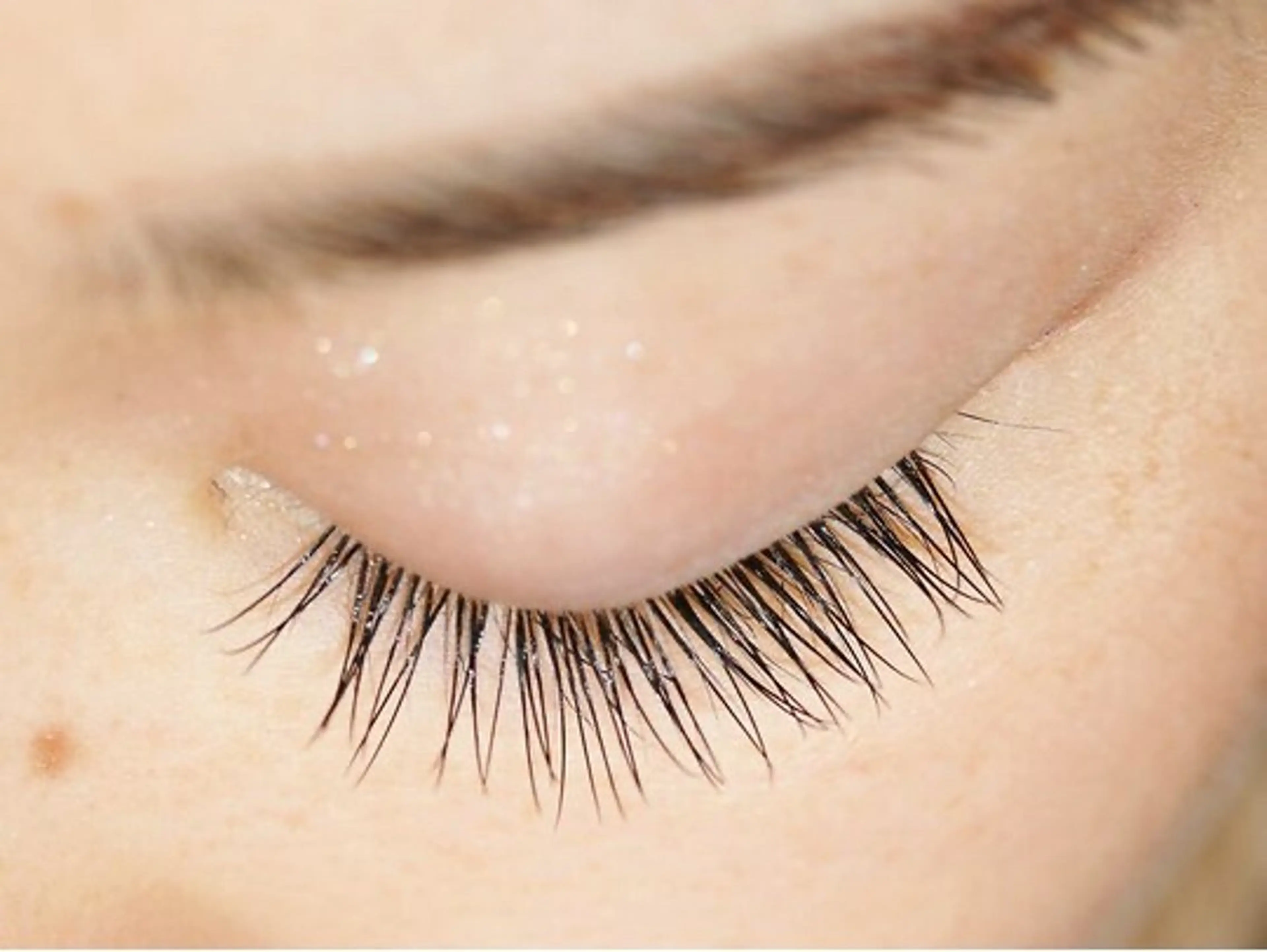 マツエク・マツパ DarwinLash 林のマツエク・マツパデザイン