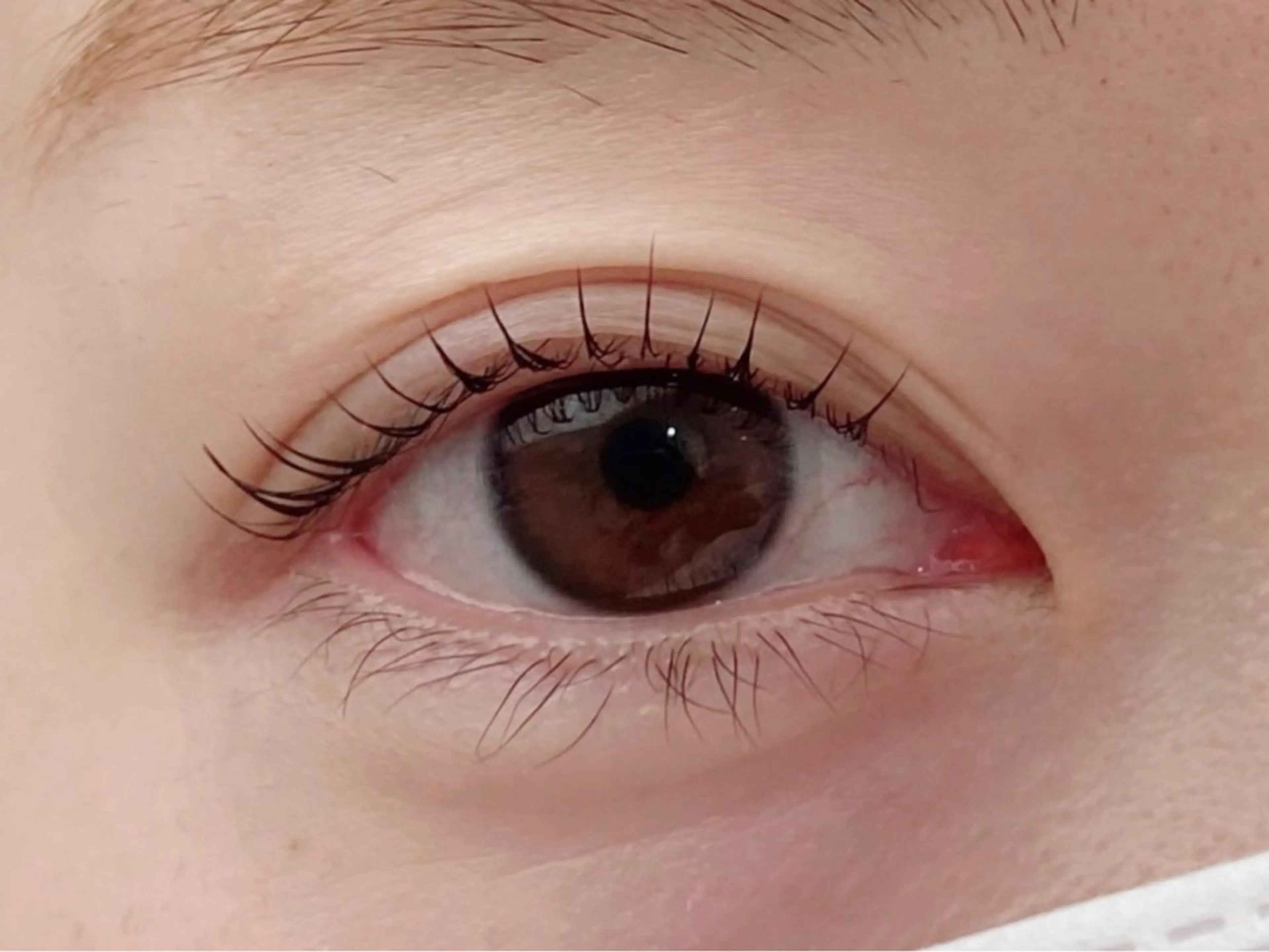 マツエク・マツパ まつげパーマ マツパ 🫧SATOMI 草加駅5分メンズ眉毛の眉毛・アイブロウイメージ