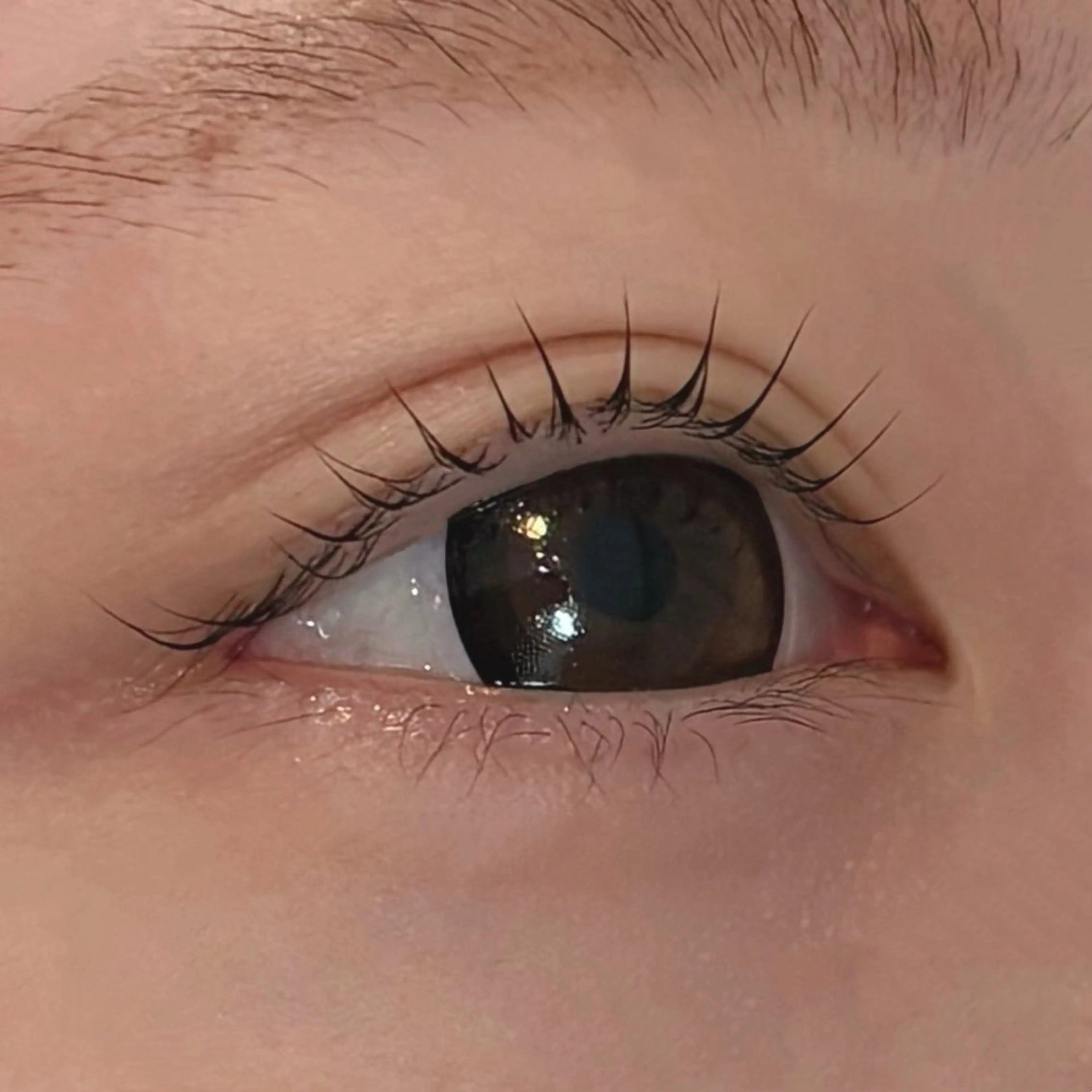 マツエク・マツパ MASAMI / 四条烏丸店のマツエク・マツパデザイン