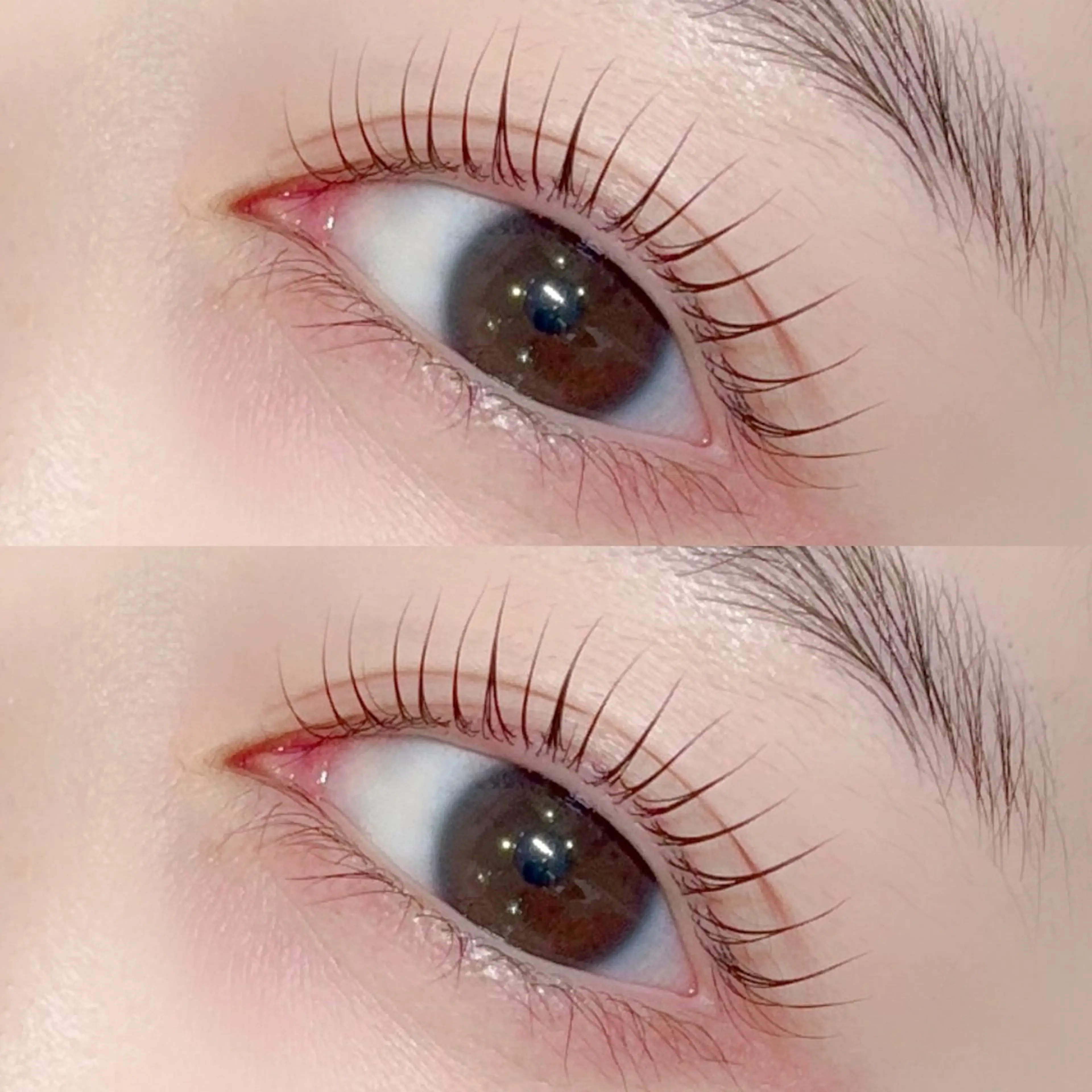 🧸口コミ割🫧パリジェンヌラッシュリフト🩵の写真