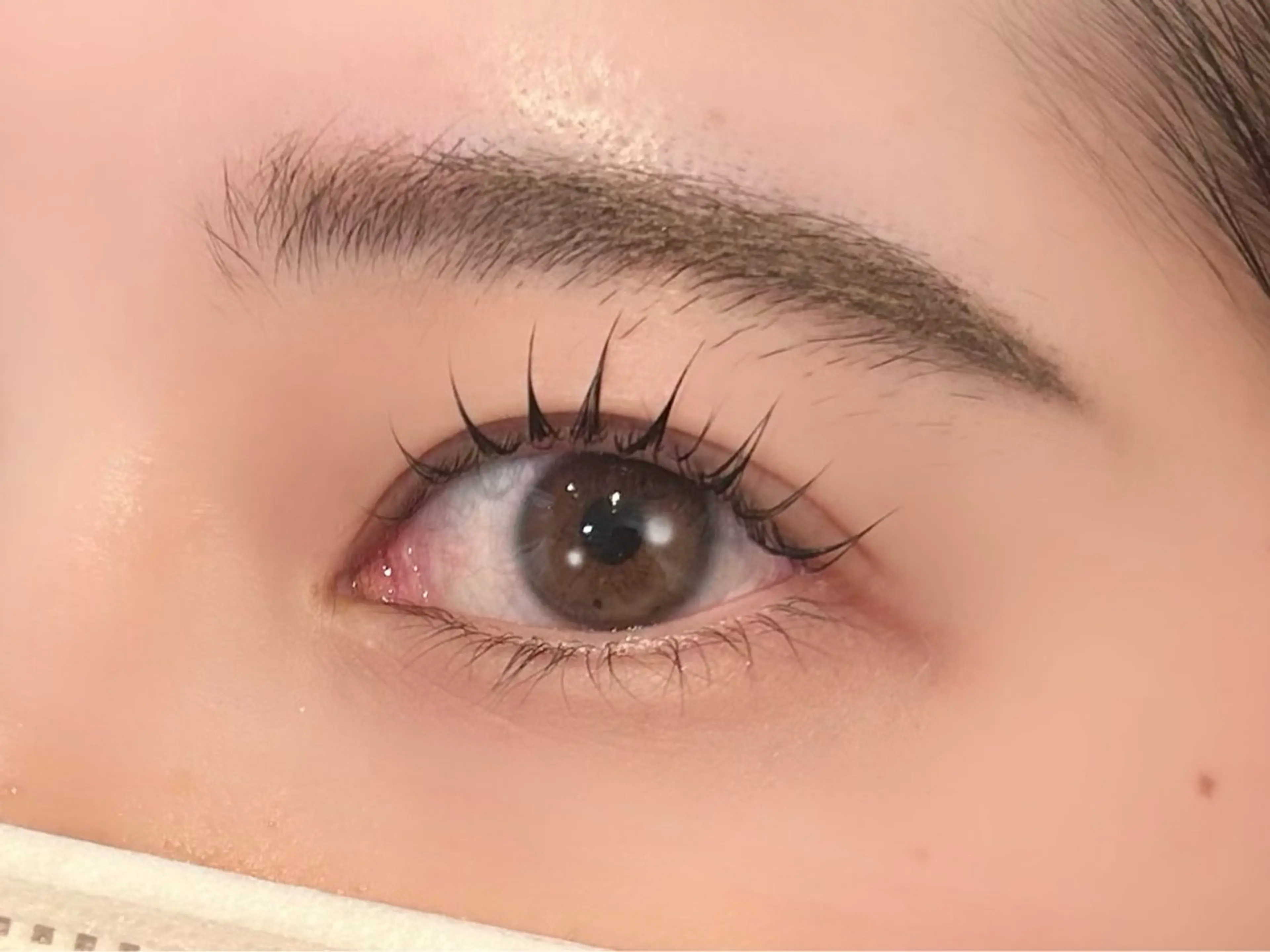 マツエク・マツパ マツパ 暖色カラー/アレンジ /束間まつげ🌼のヘアスタイル